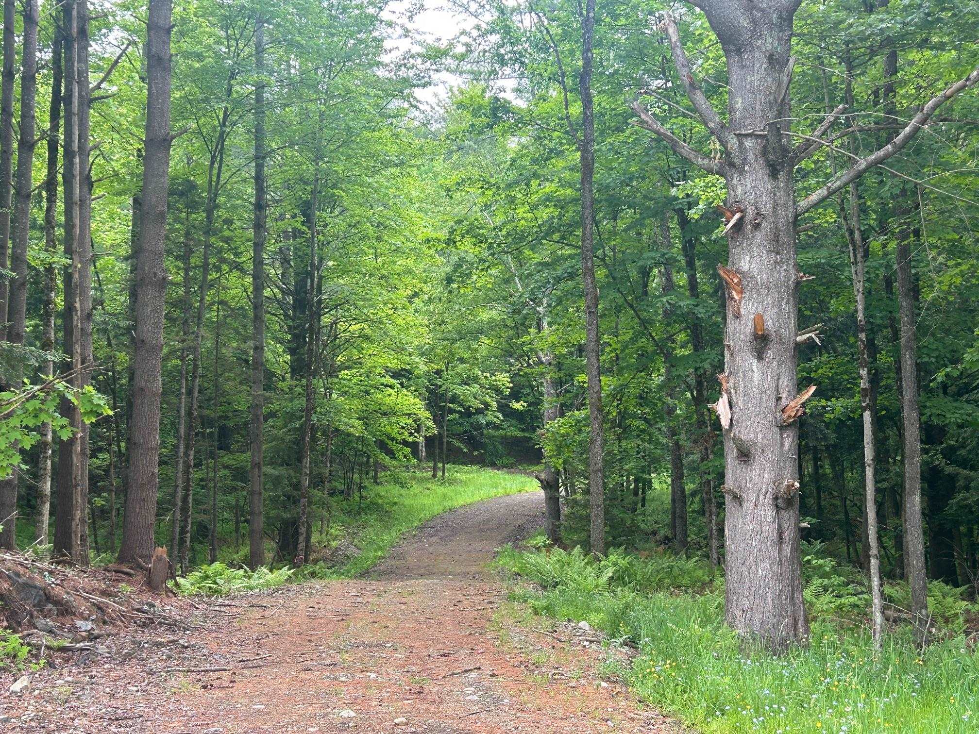 00 Rocky Road Property Photo 14