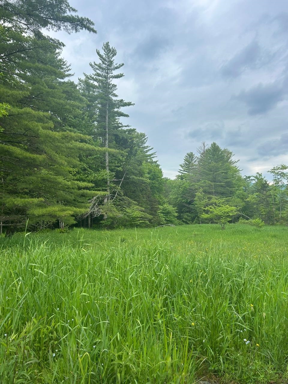 00 Rocky Road Property Photo 15