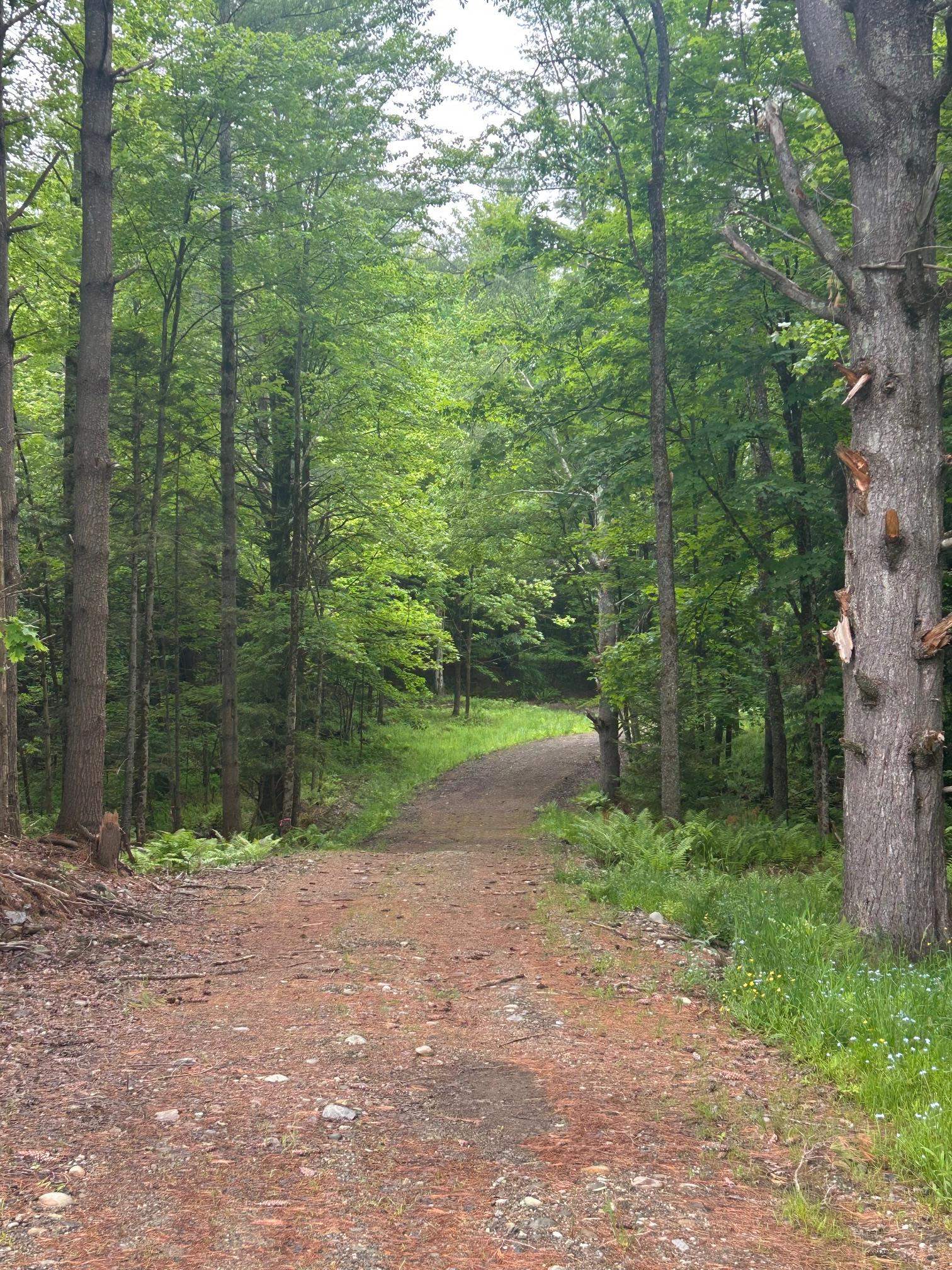 00 Rocky Road Property Photo 16
