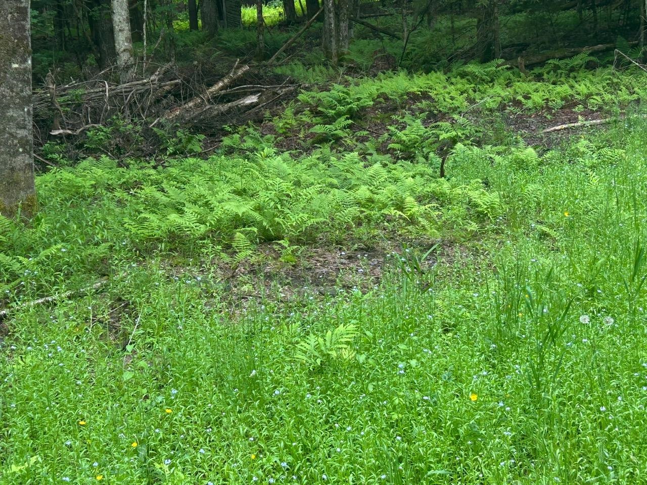 00 Rocky Road Property Photo 18