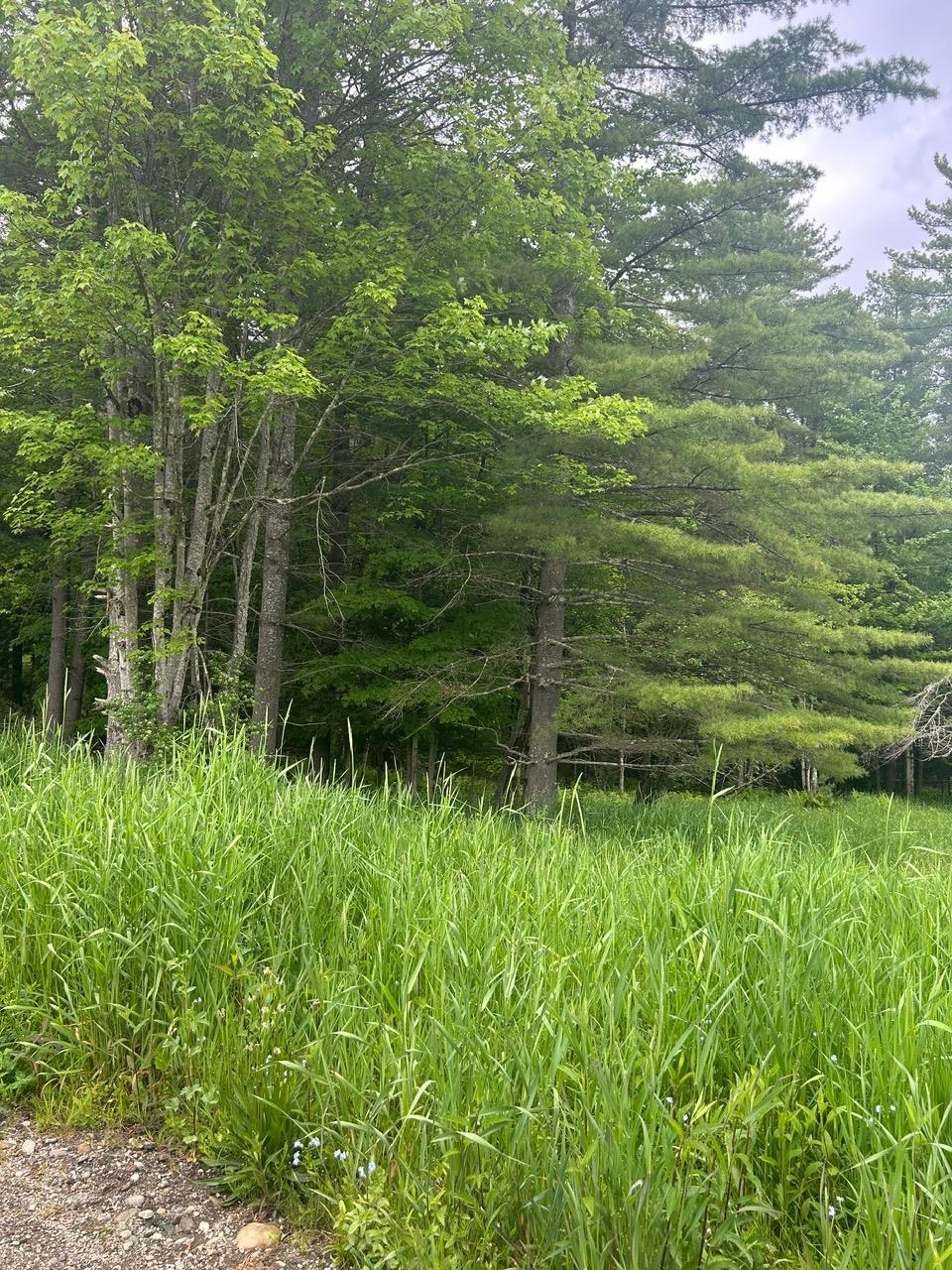 00 Rocky Road Property Photo 19