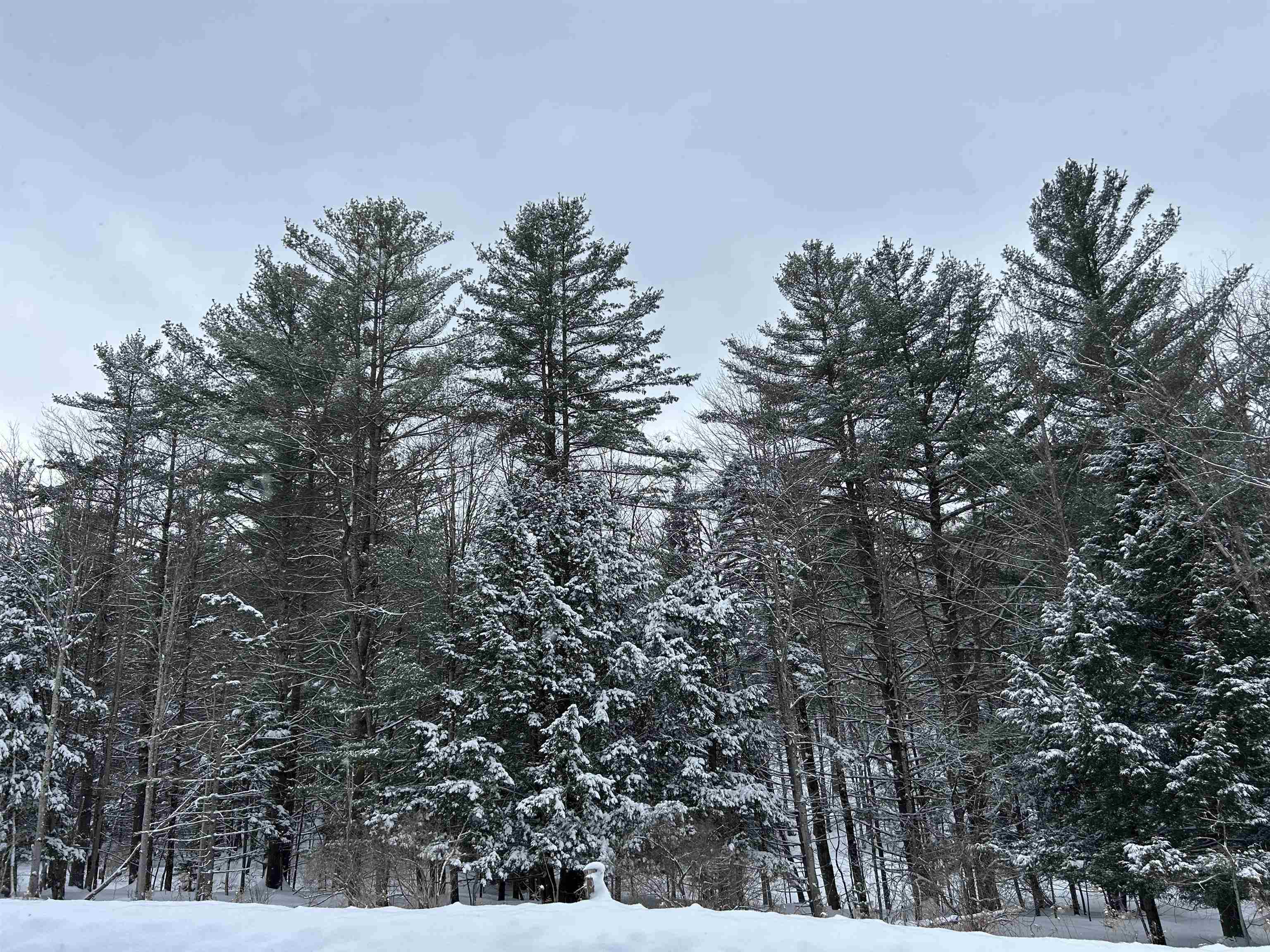 00 Rocky Road Property Photo 20