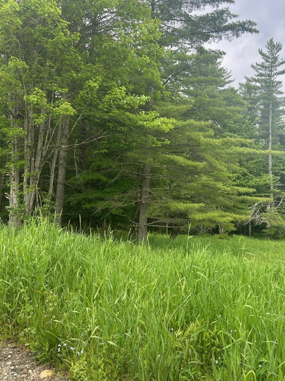 00 Rocky Road Property Photo 21