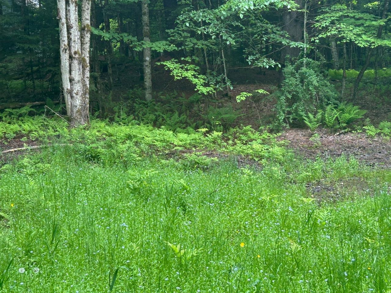 00 Rocky Road Property Photo 22