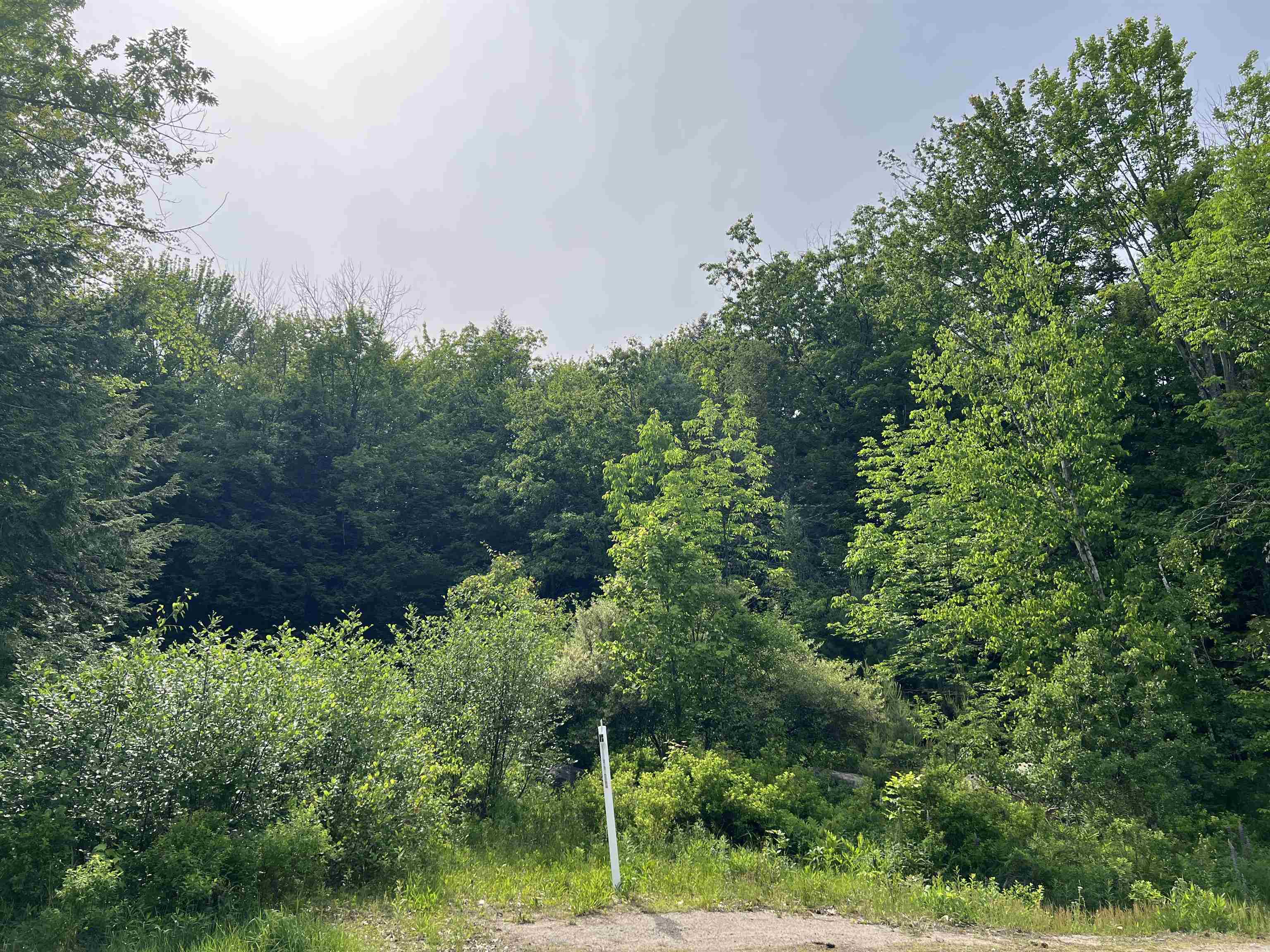470 Tasker Hill Road Property Photo 7