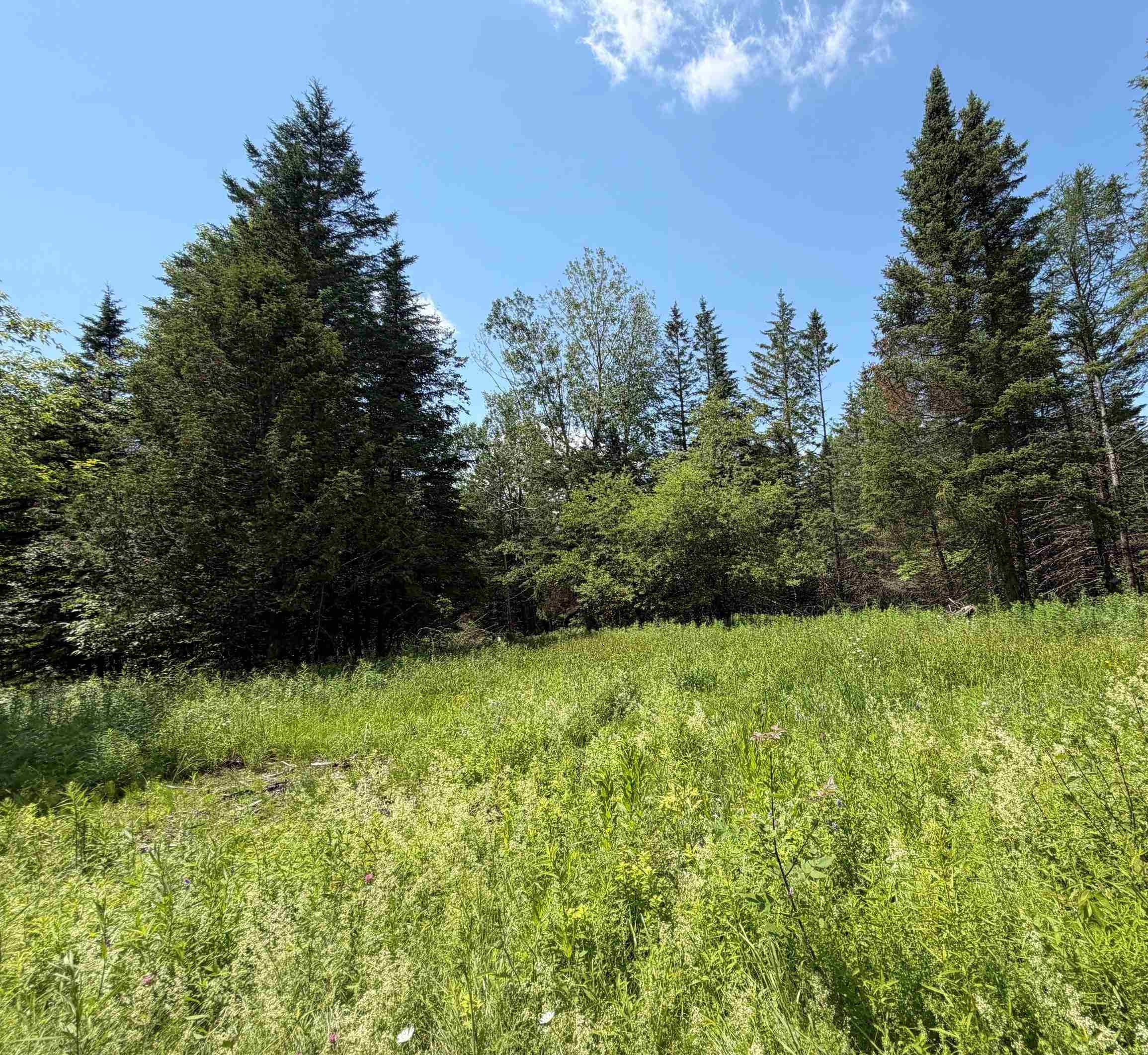 1090 Center Road Property Photo 10