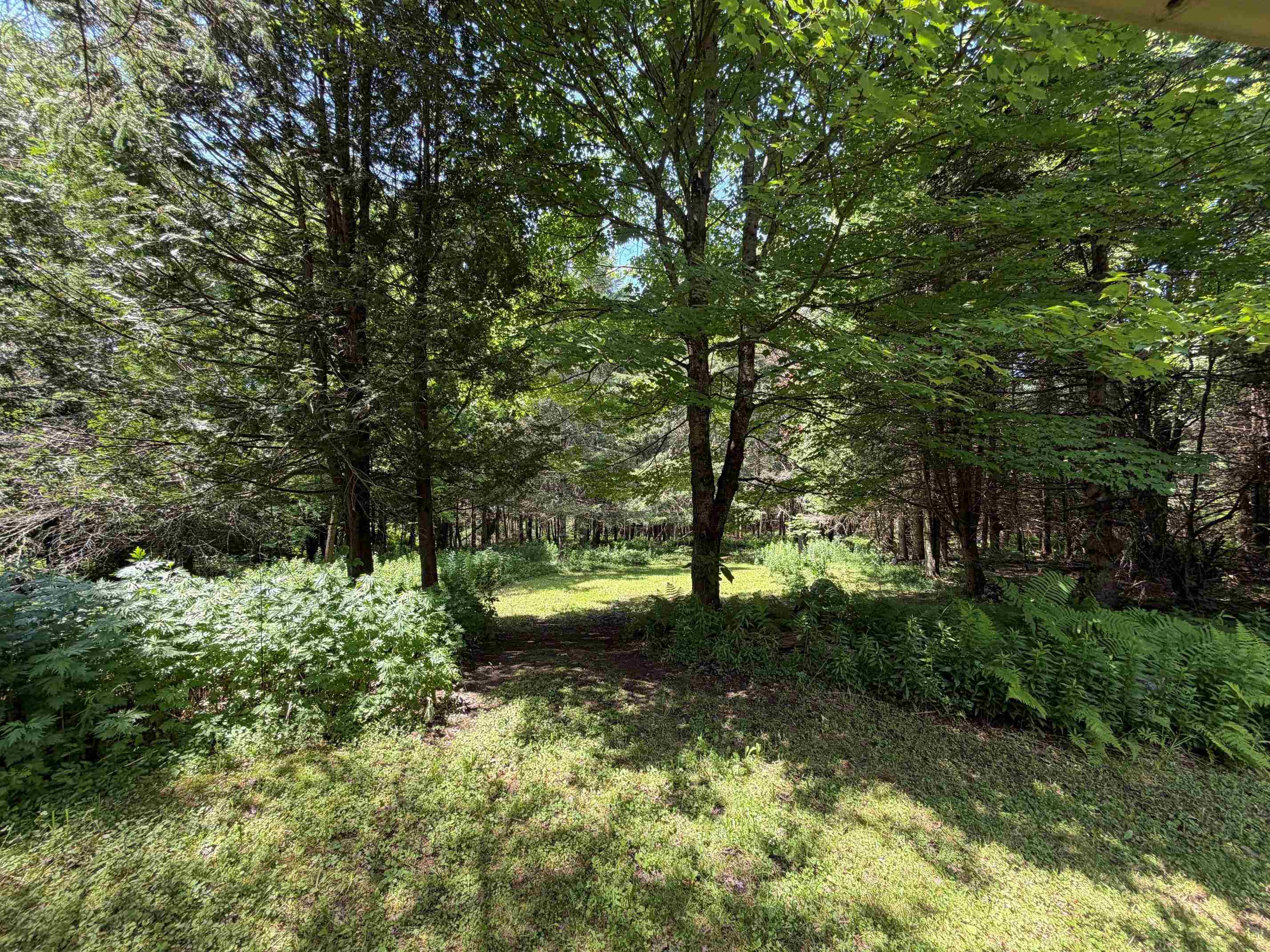 1090 Center Road Property Photo 12