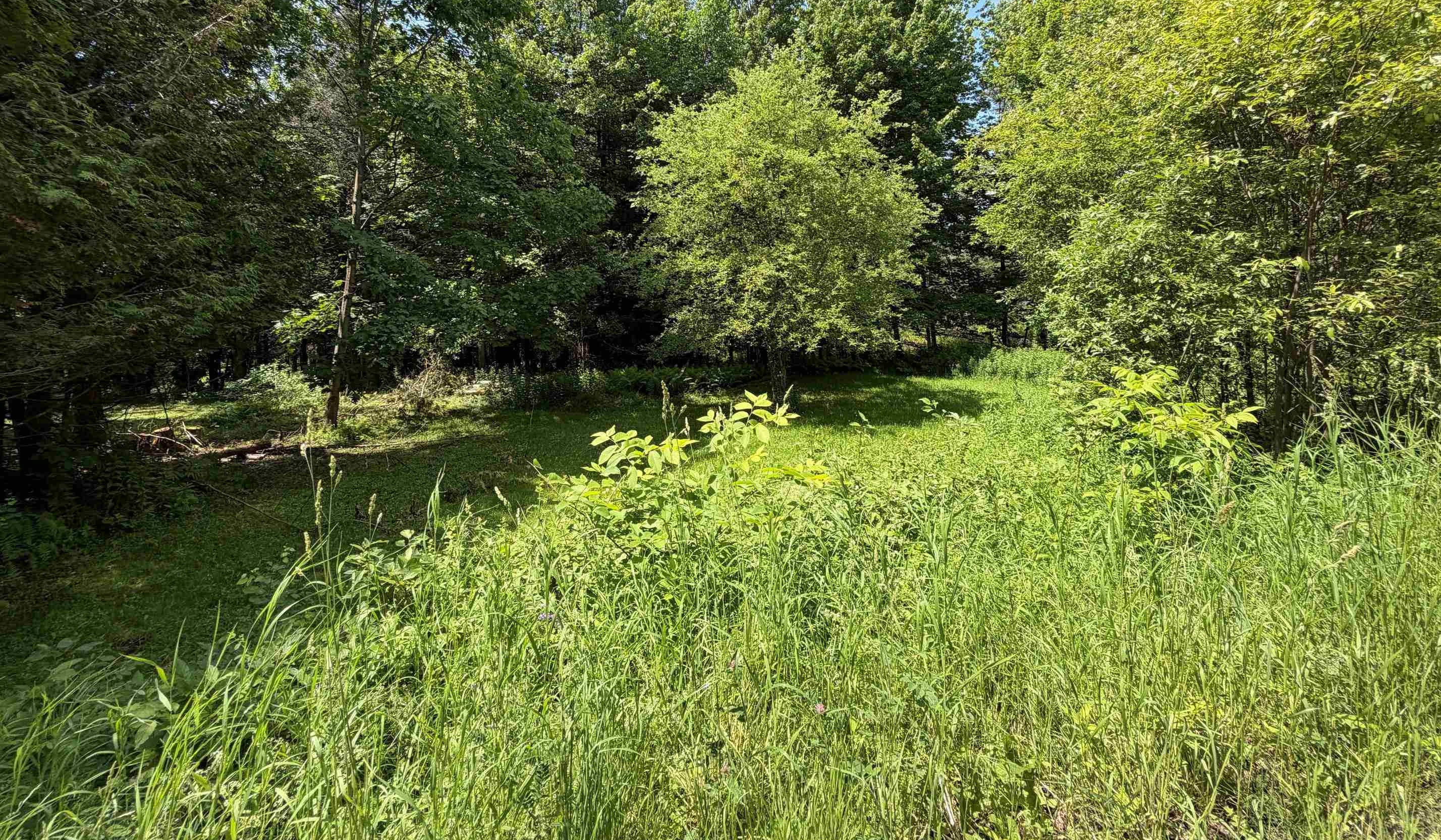 1090 Center Road Property Photo 13