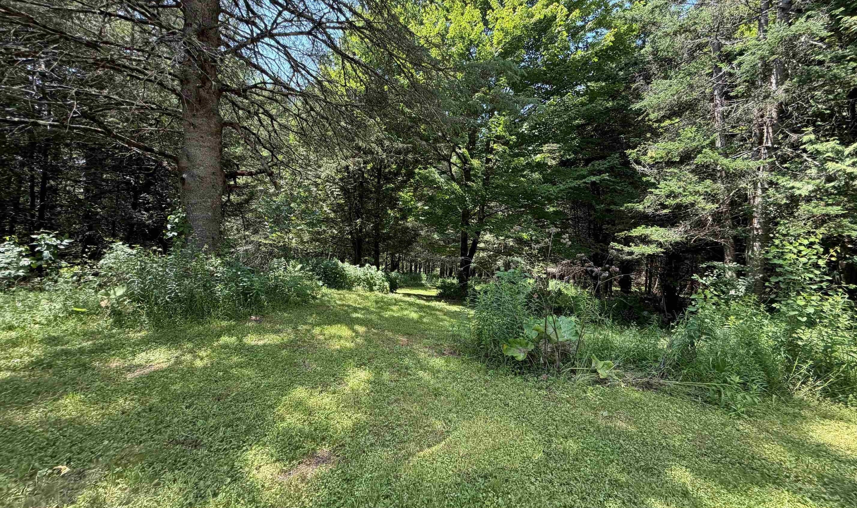 1090 Center Road Property Photo 14