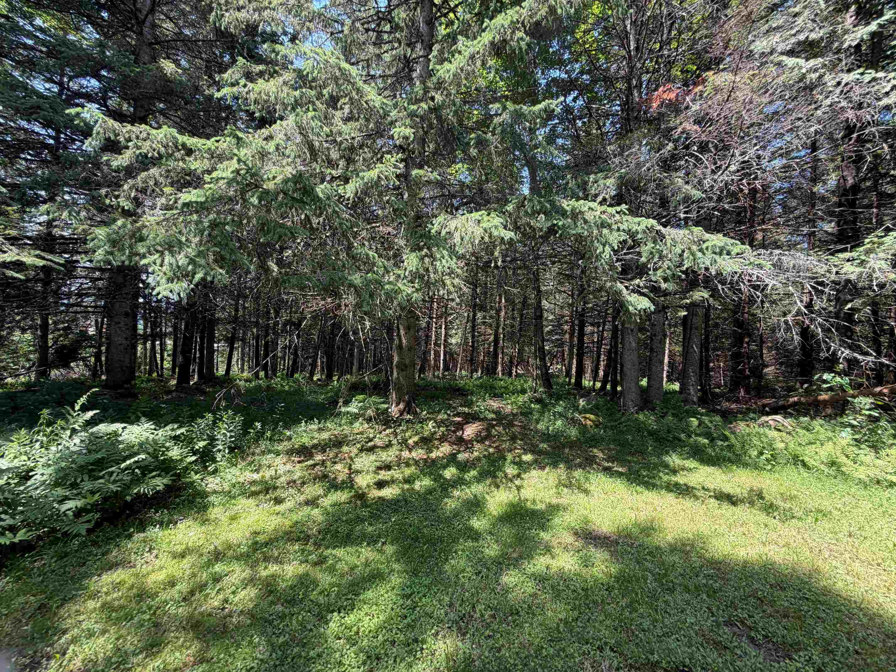 1090 Center Road Property Photo 16
