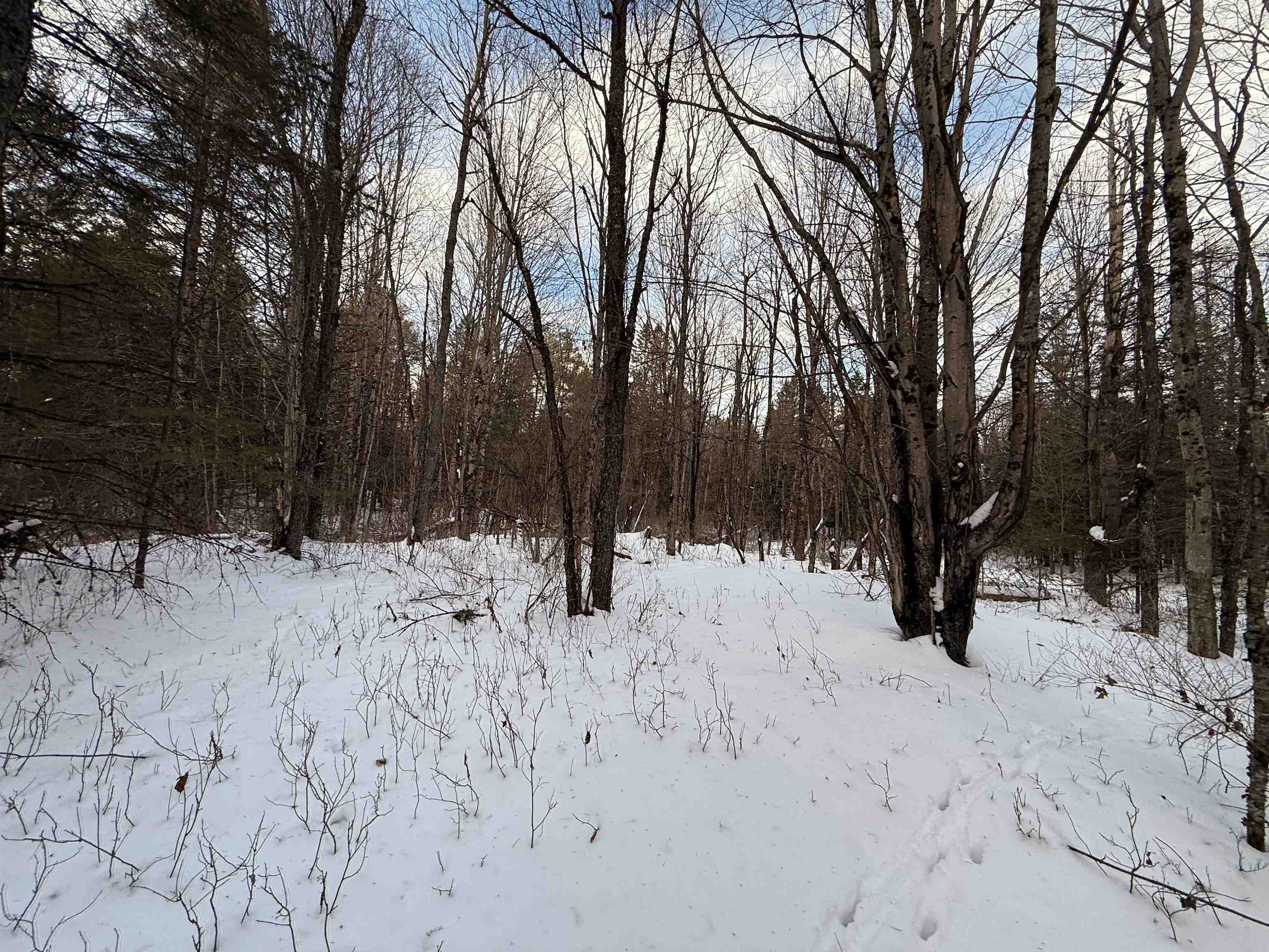 0 Darling Hill Road Property Photo 16