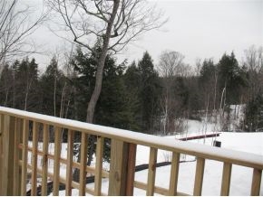 000 Bear Path Lane Property Photo 19