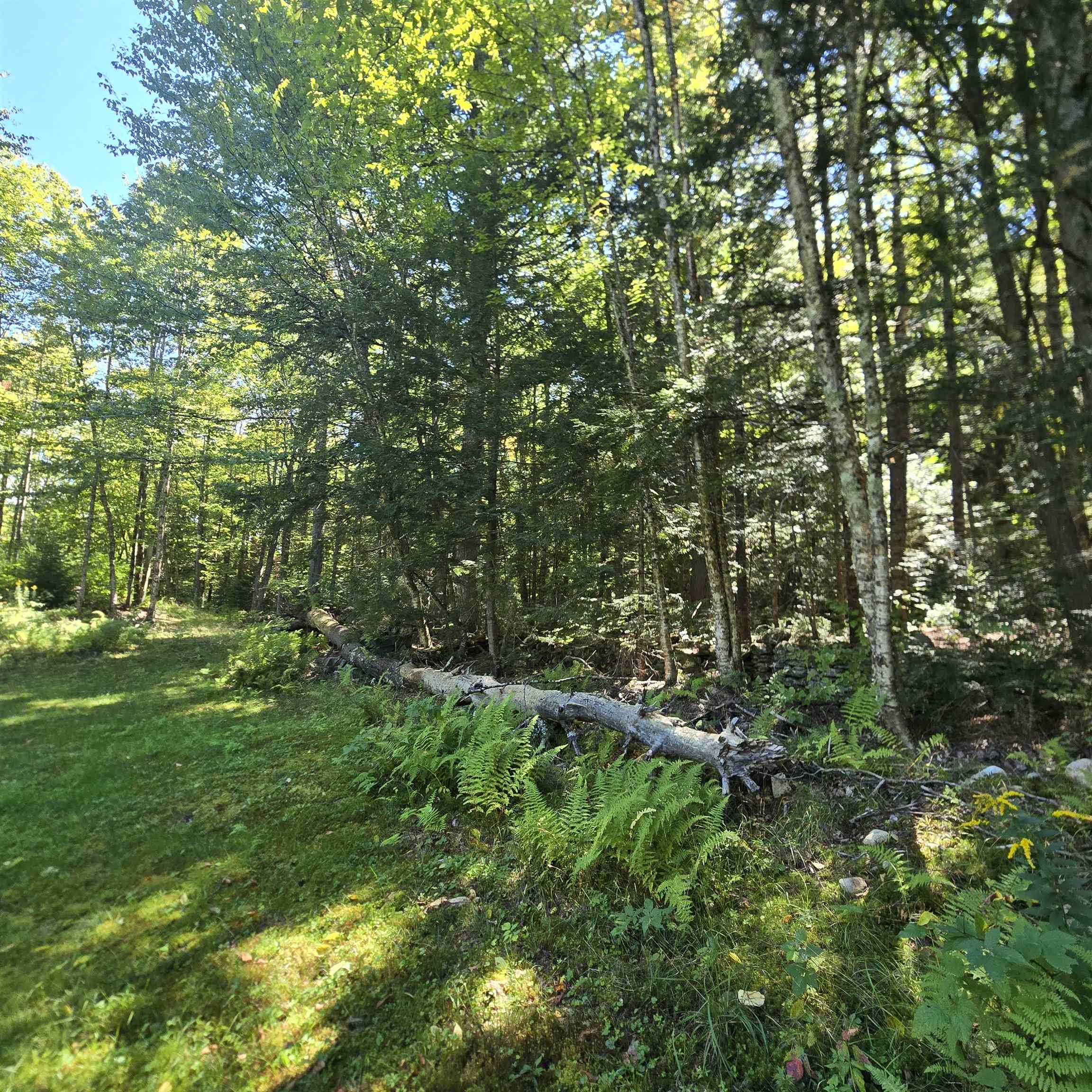 3148 Route 11 Property Photo 45