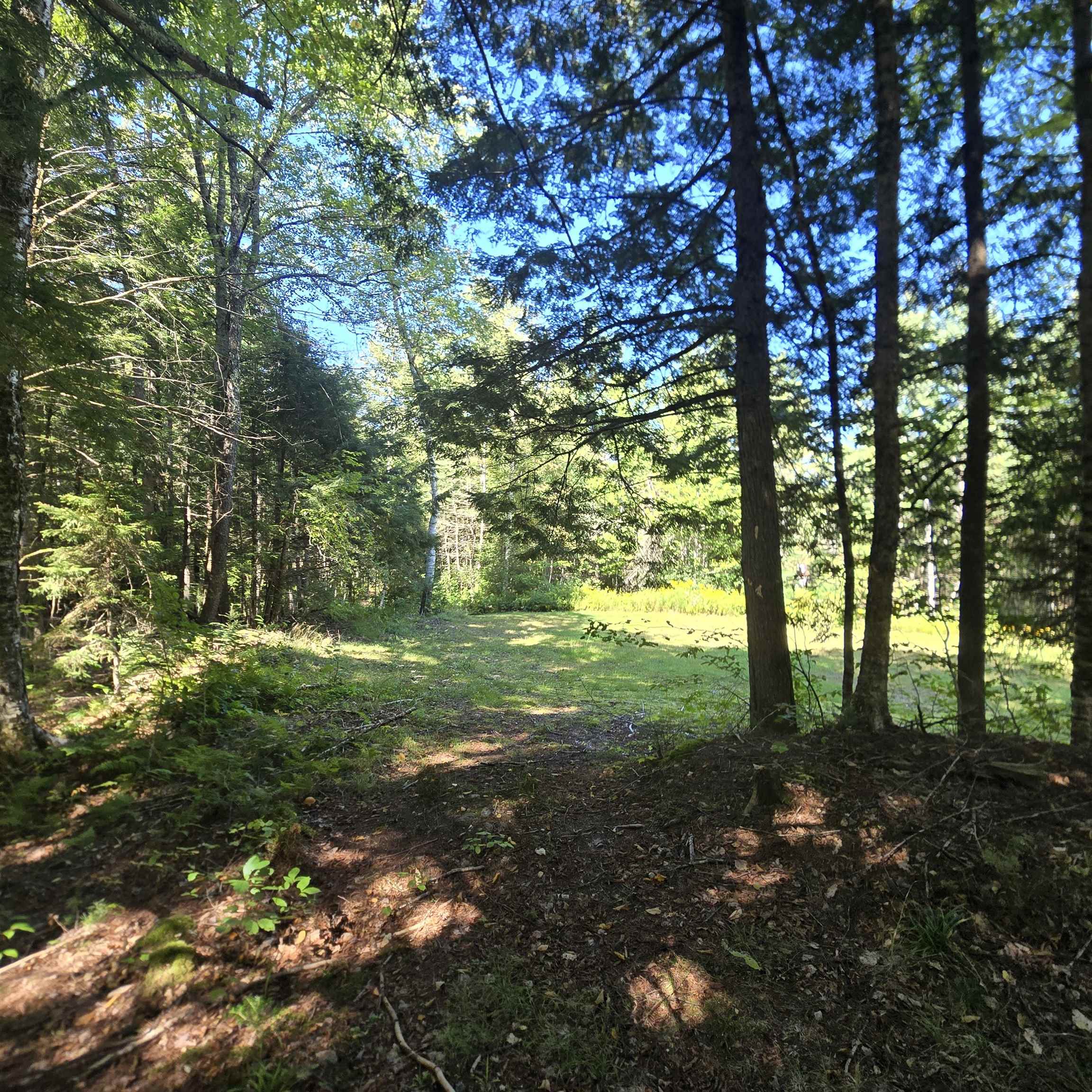 3148 Route 11 Property Photo 47