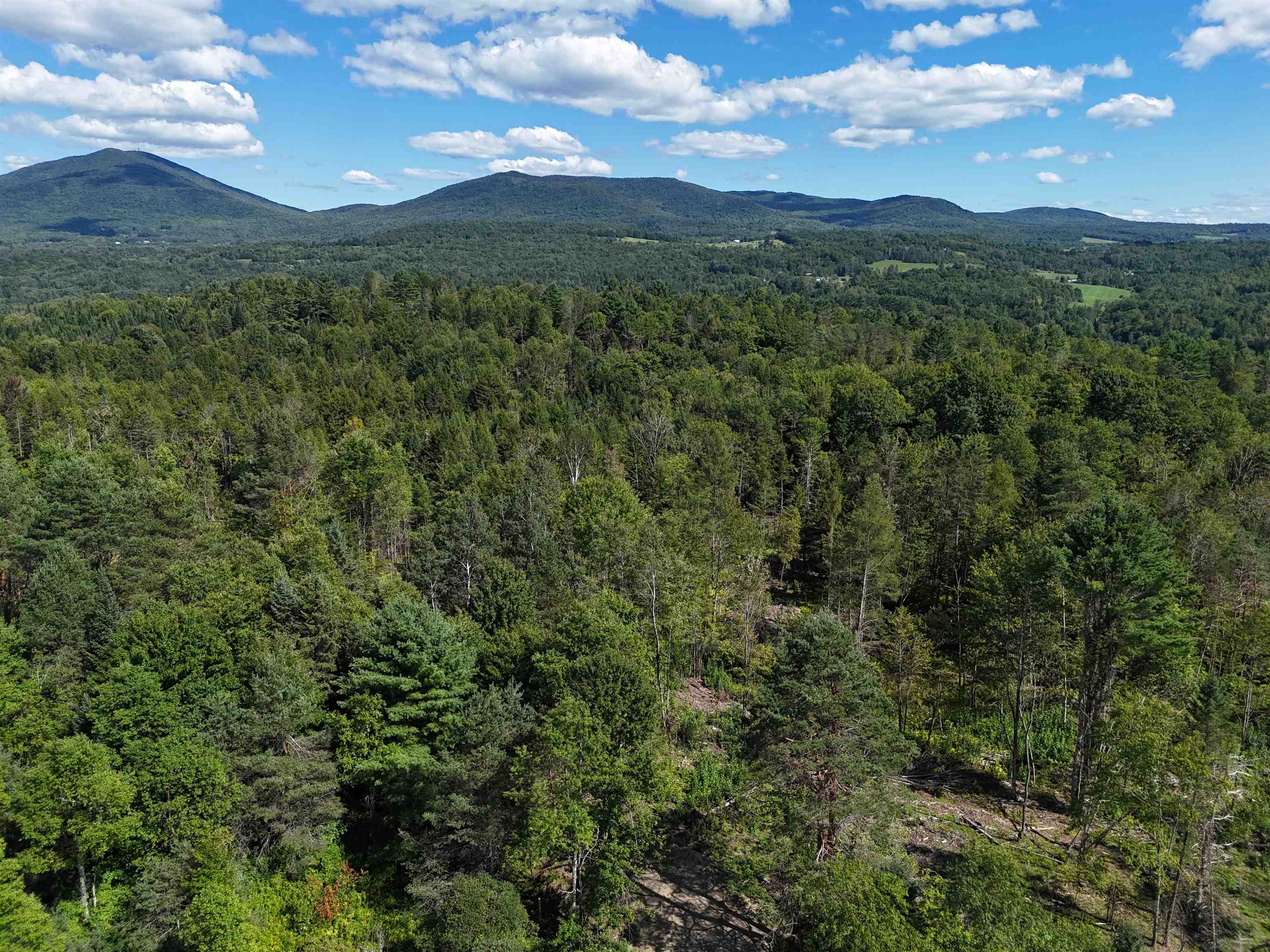 000 Darling Hill Road Property Photo 1