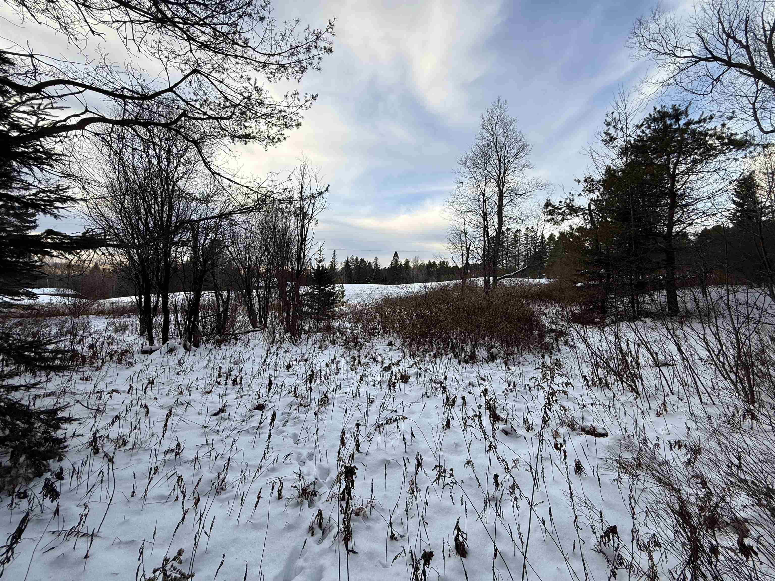 000 Darling Hill Road Property Photo 10