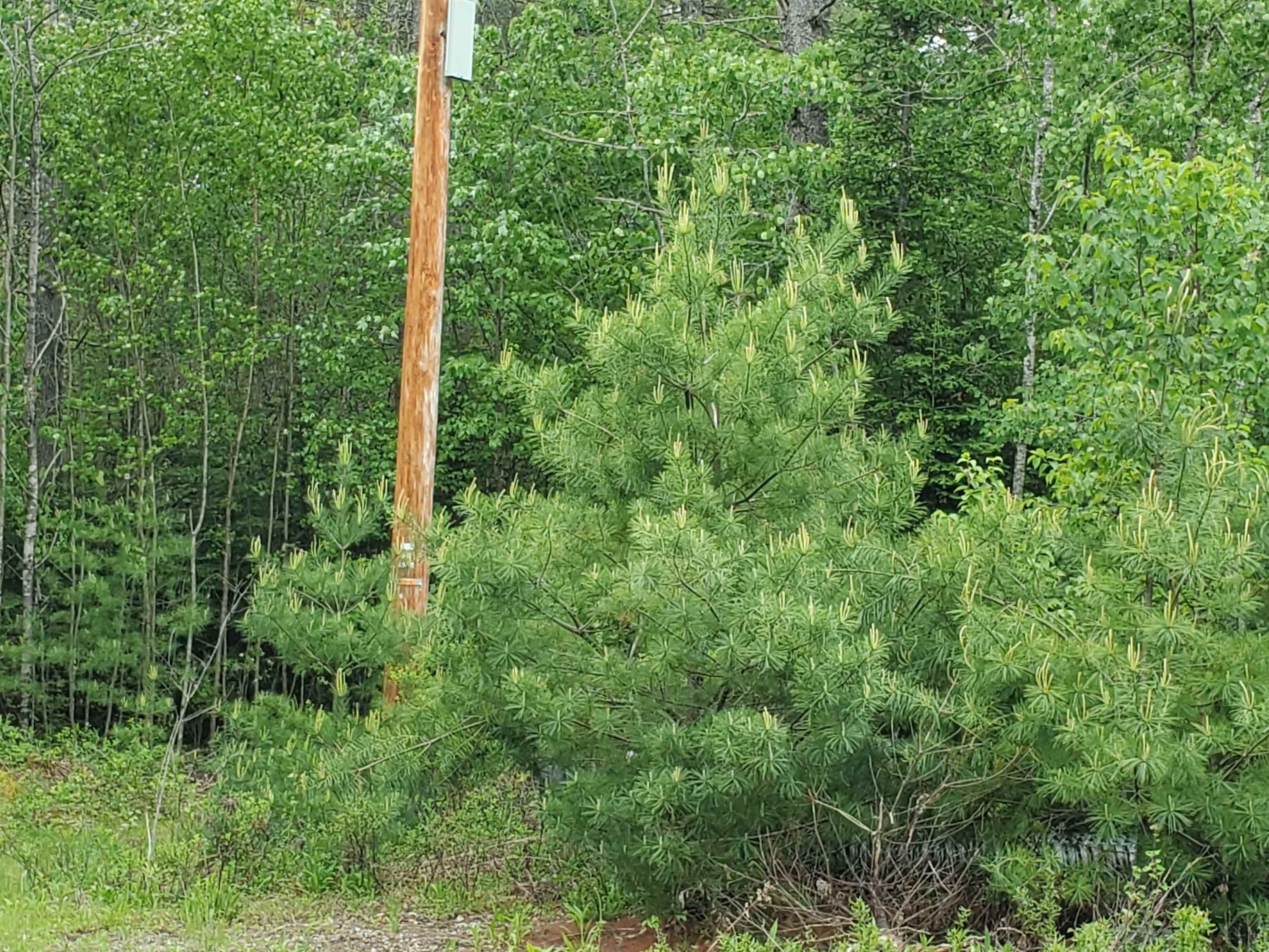 21 Granite Way Property Photo 2