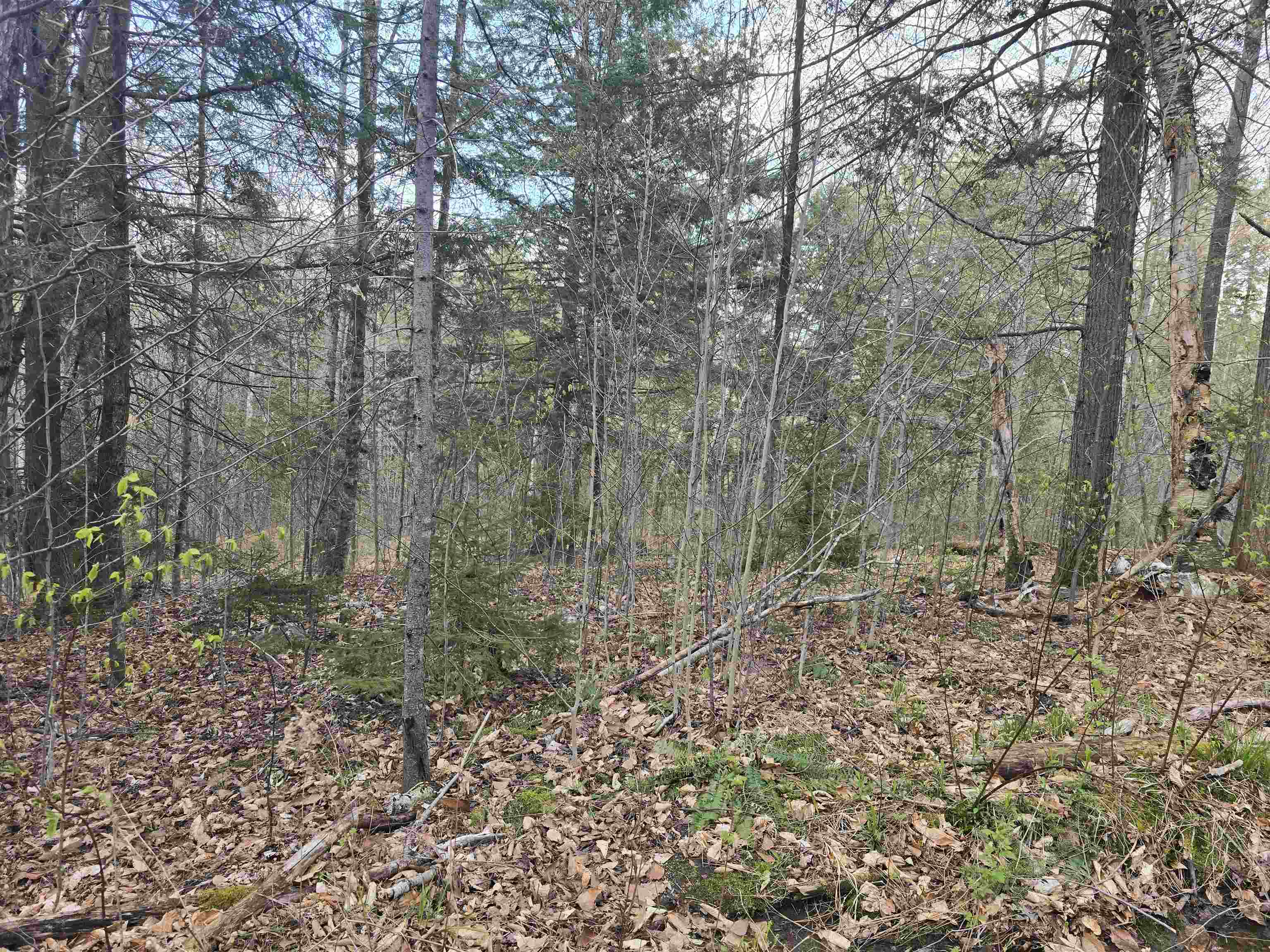 Tbd Farrar Road Property Photo 1