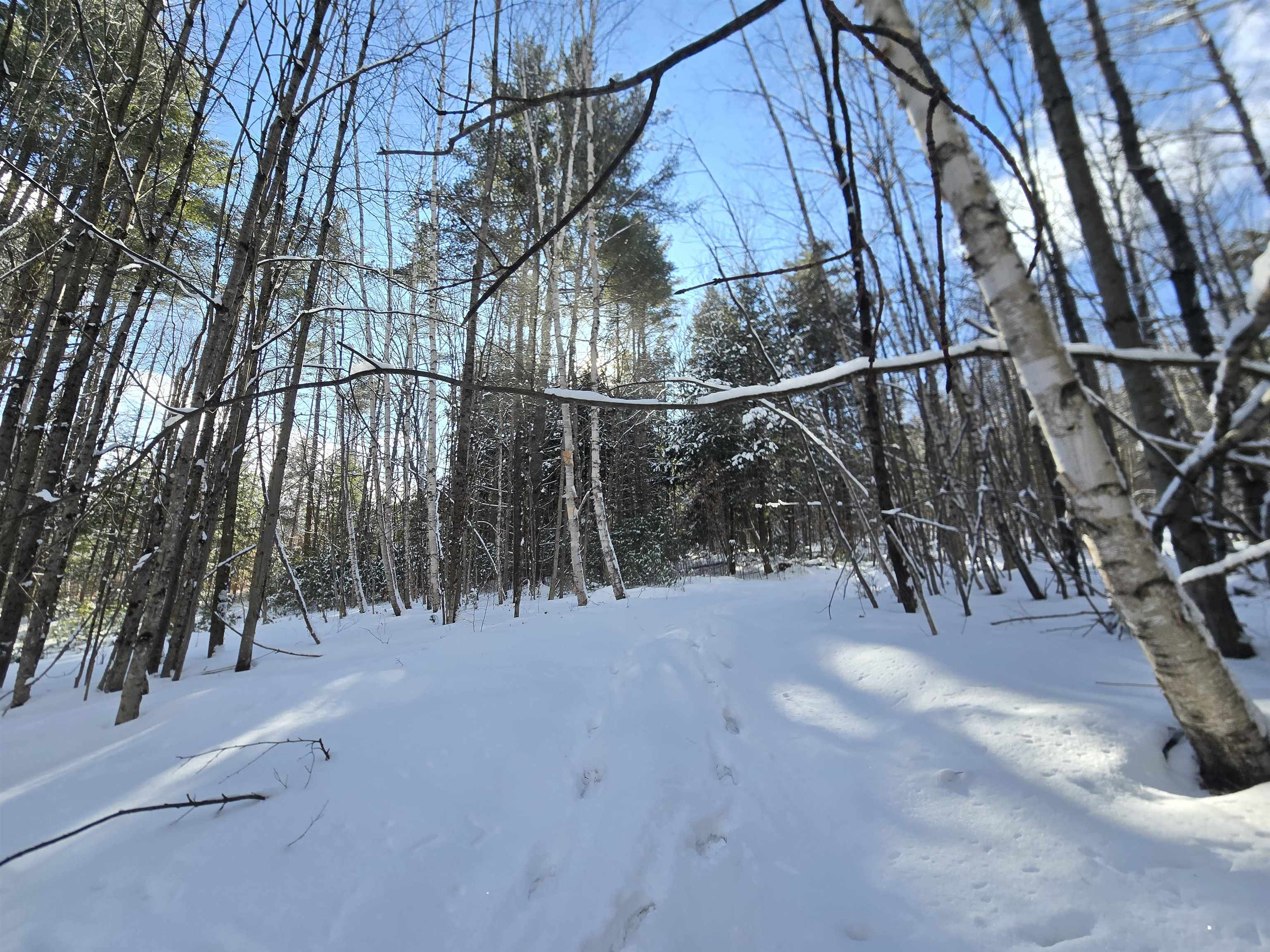 Tbd Farrar Road Property Photo 5