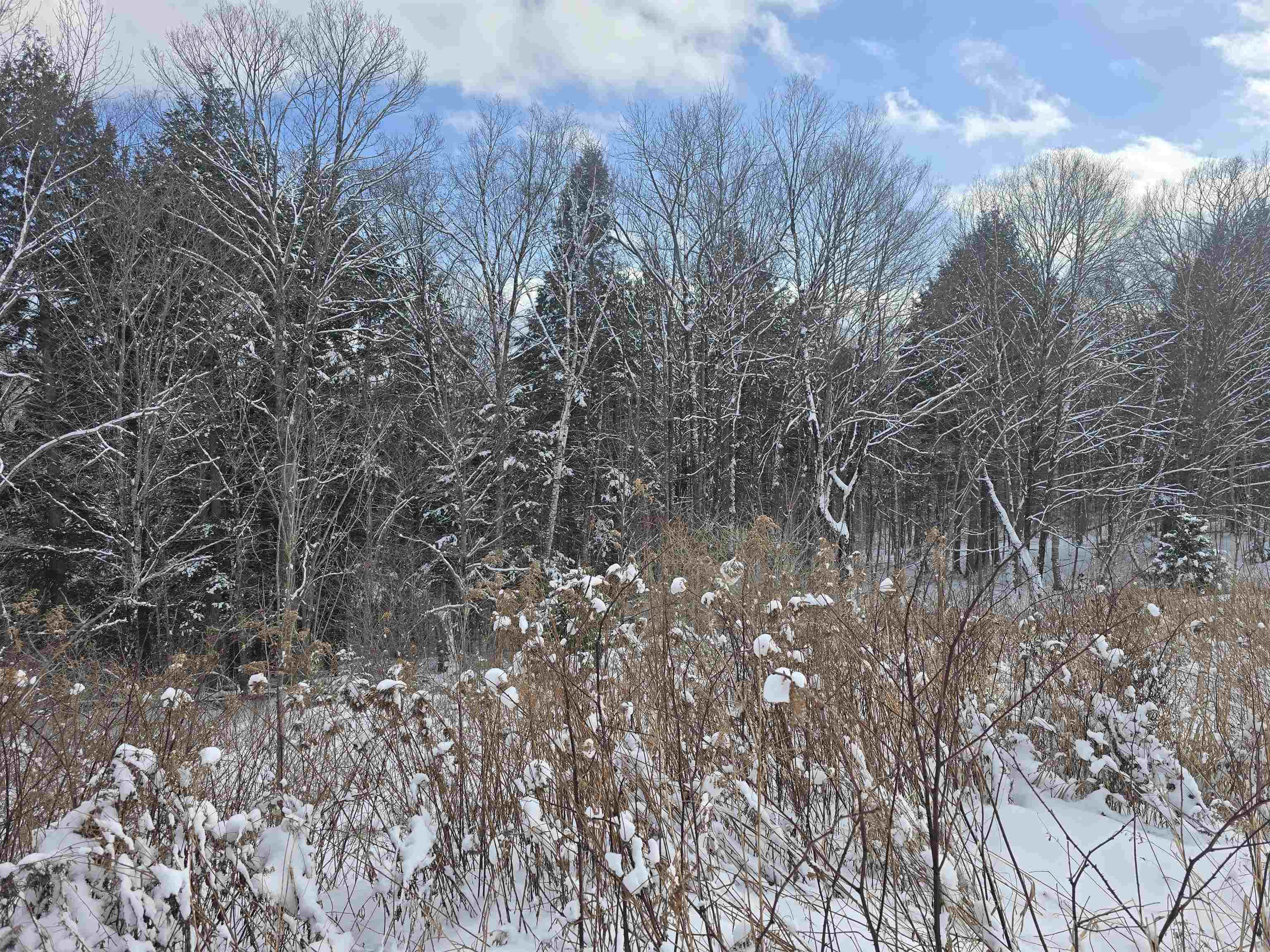 Tbd Farrar Road Property Photo 6