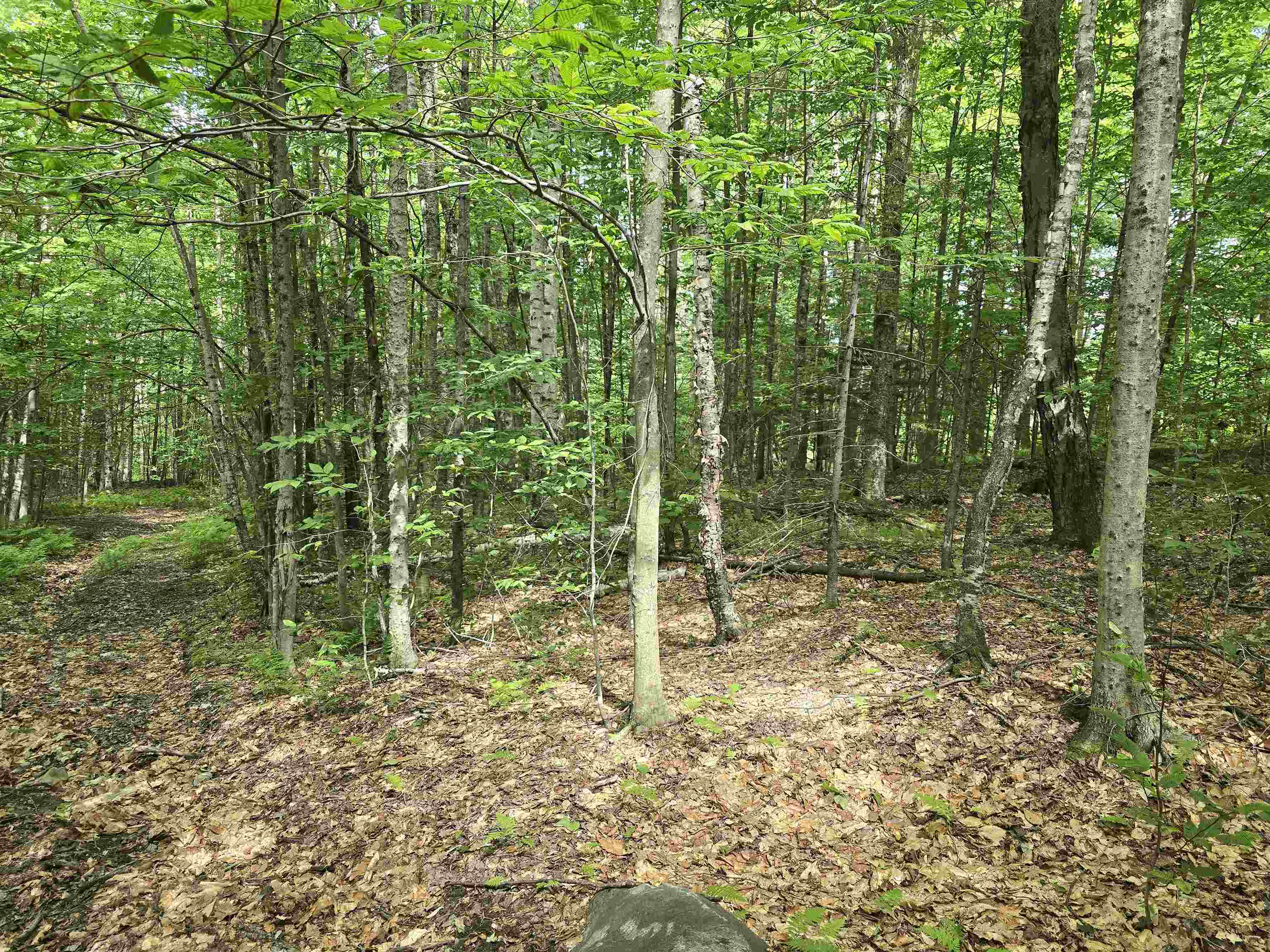 Tbd Farrar Road Property Photo 6