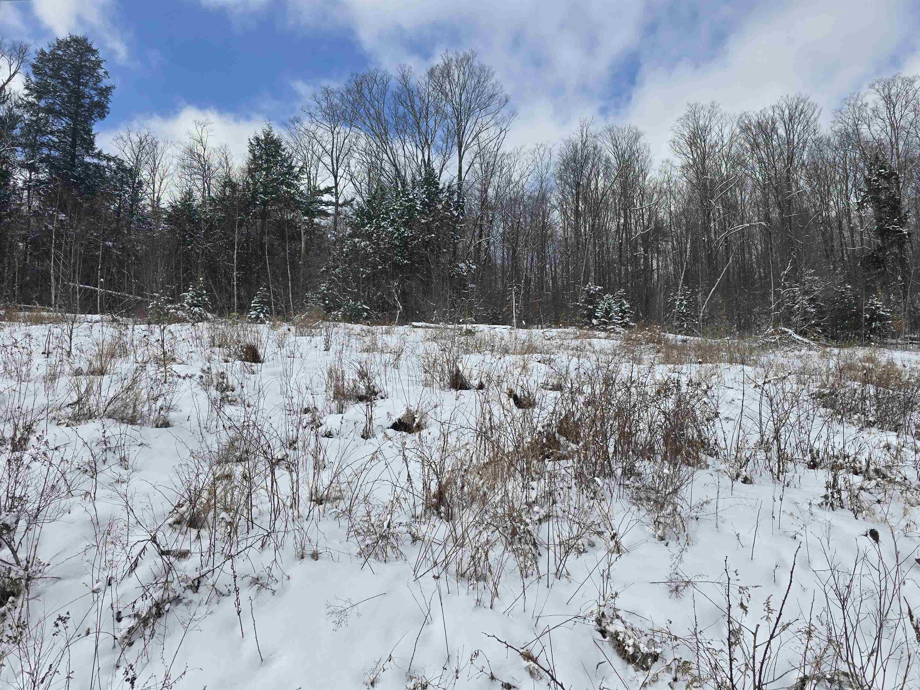 Tbd Farrar Road Property Photo 7