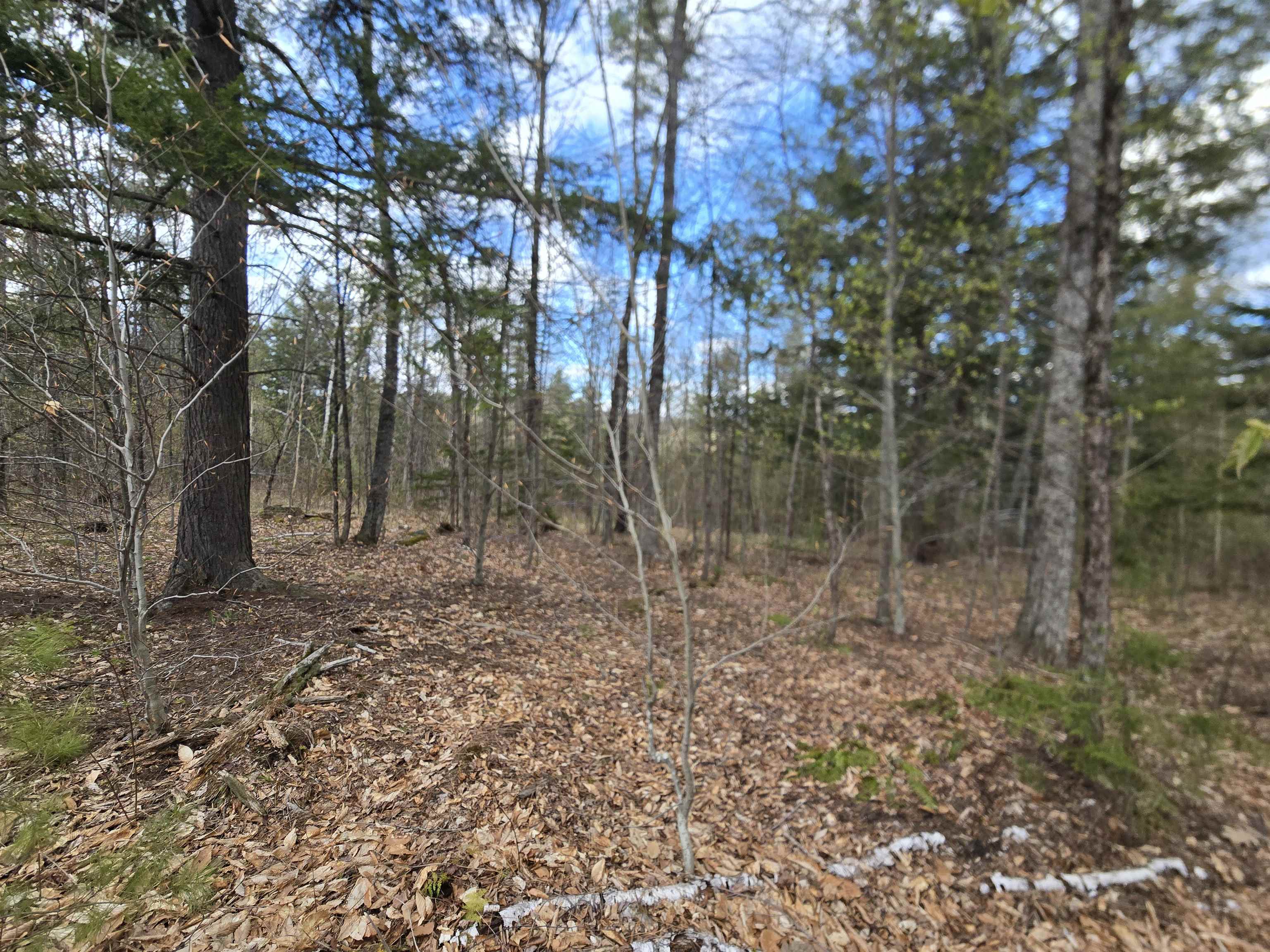 Tbd Farrar Road Property Photo 8