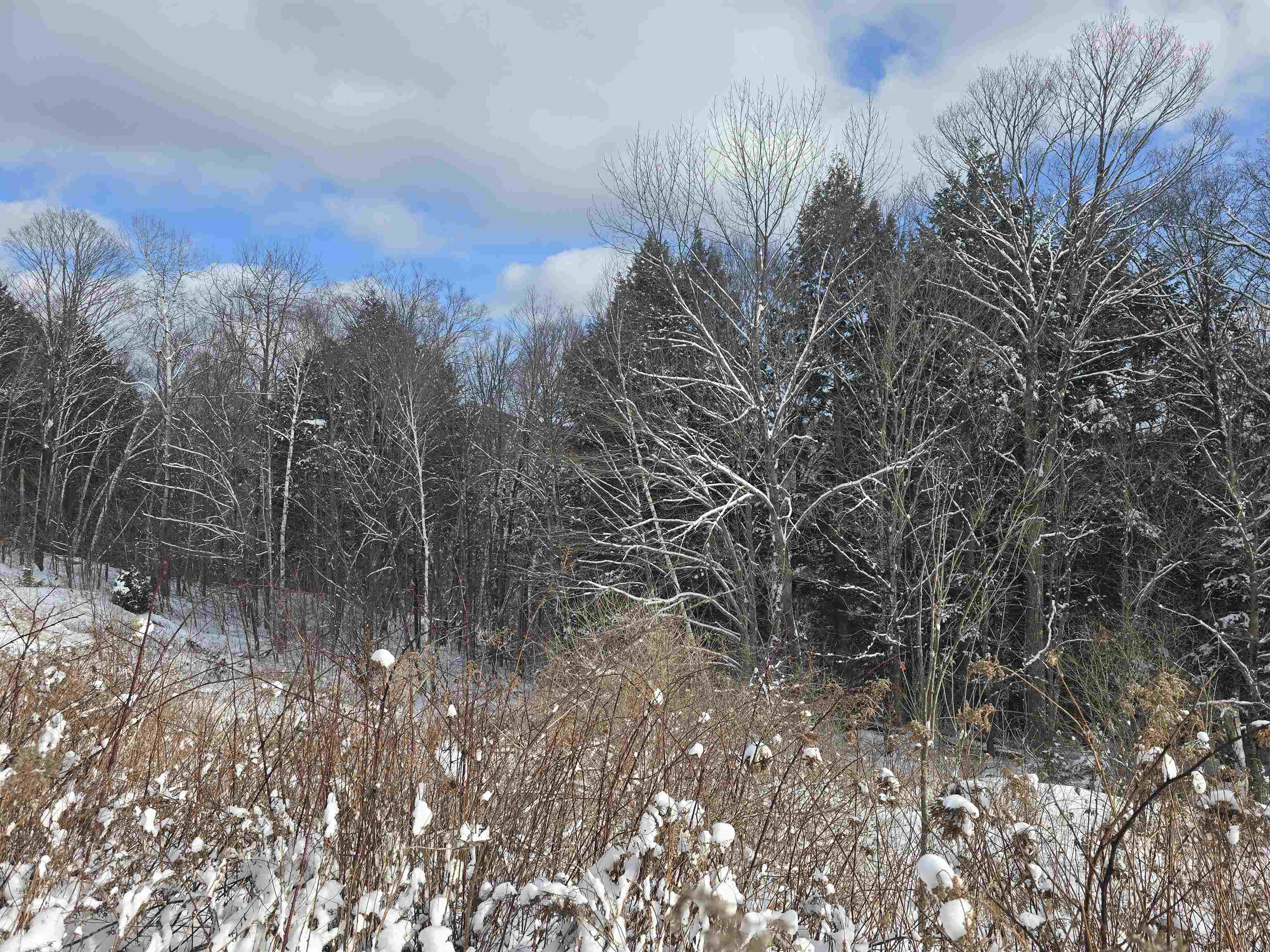 Tbd Farrar Road Property Photo 9