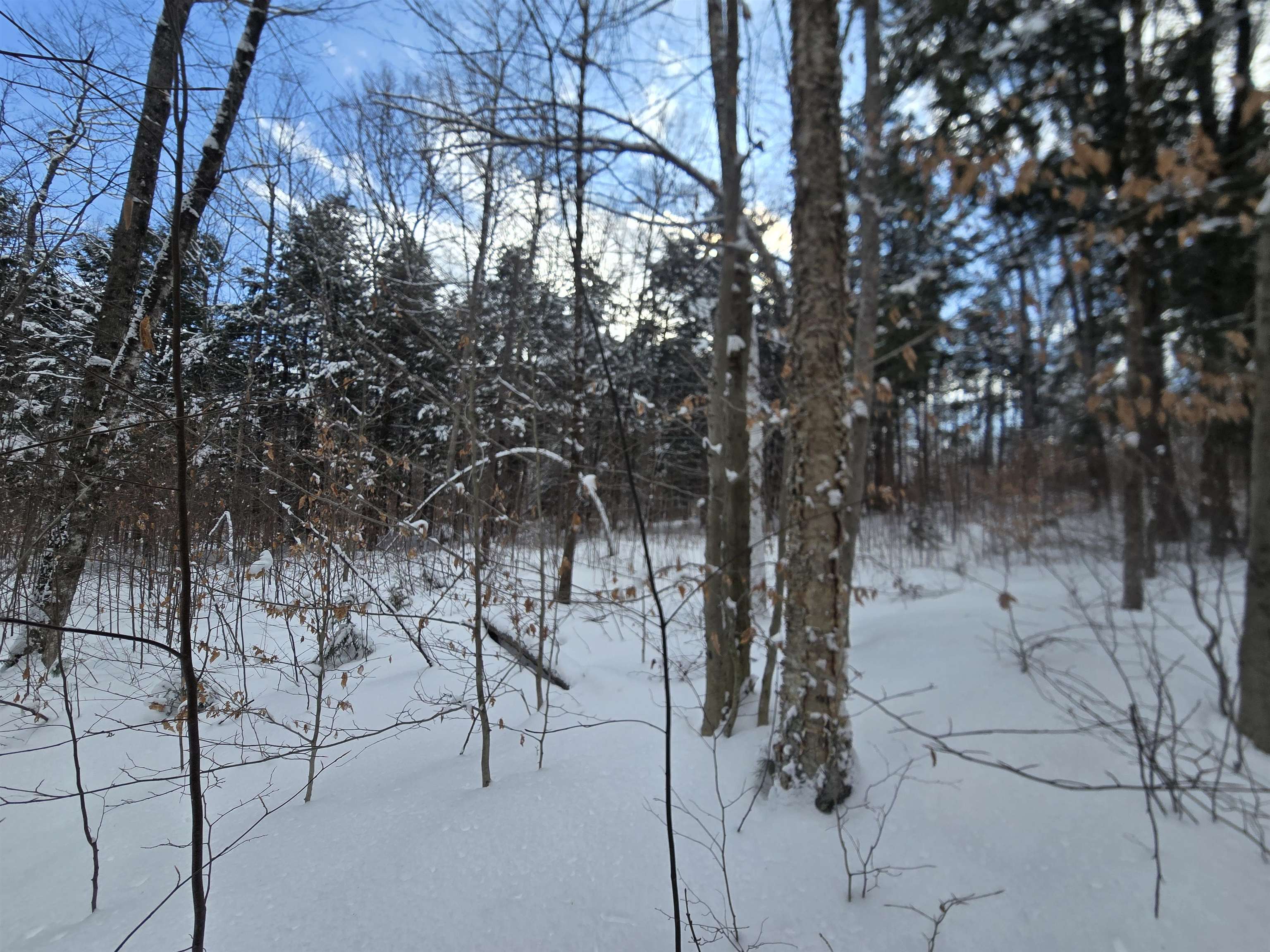 Tbd Farrar Road Property Photo 13