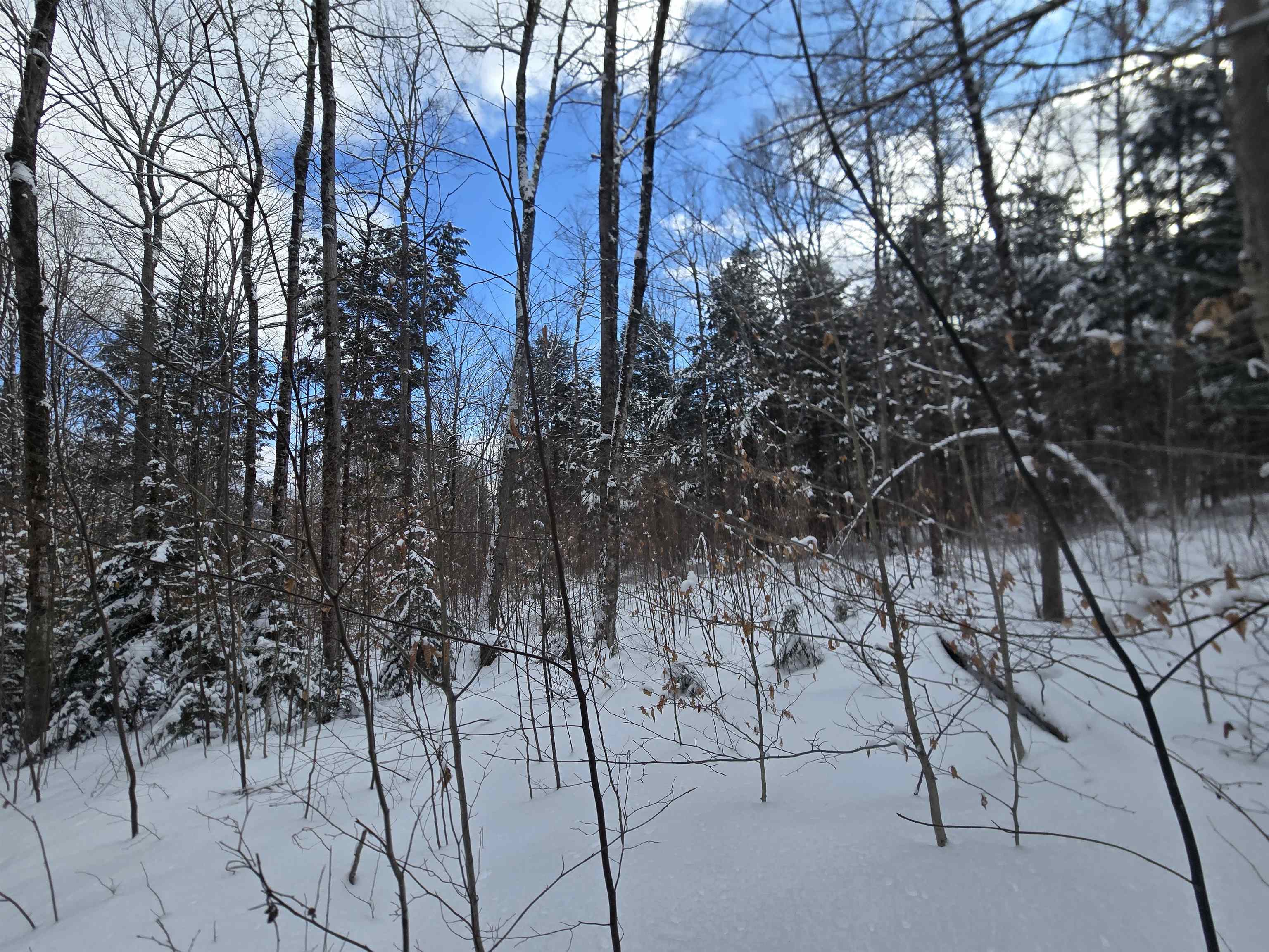 Tbd Farrar Road Property Photo 18