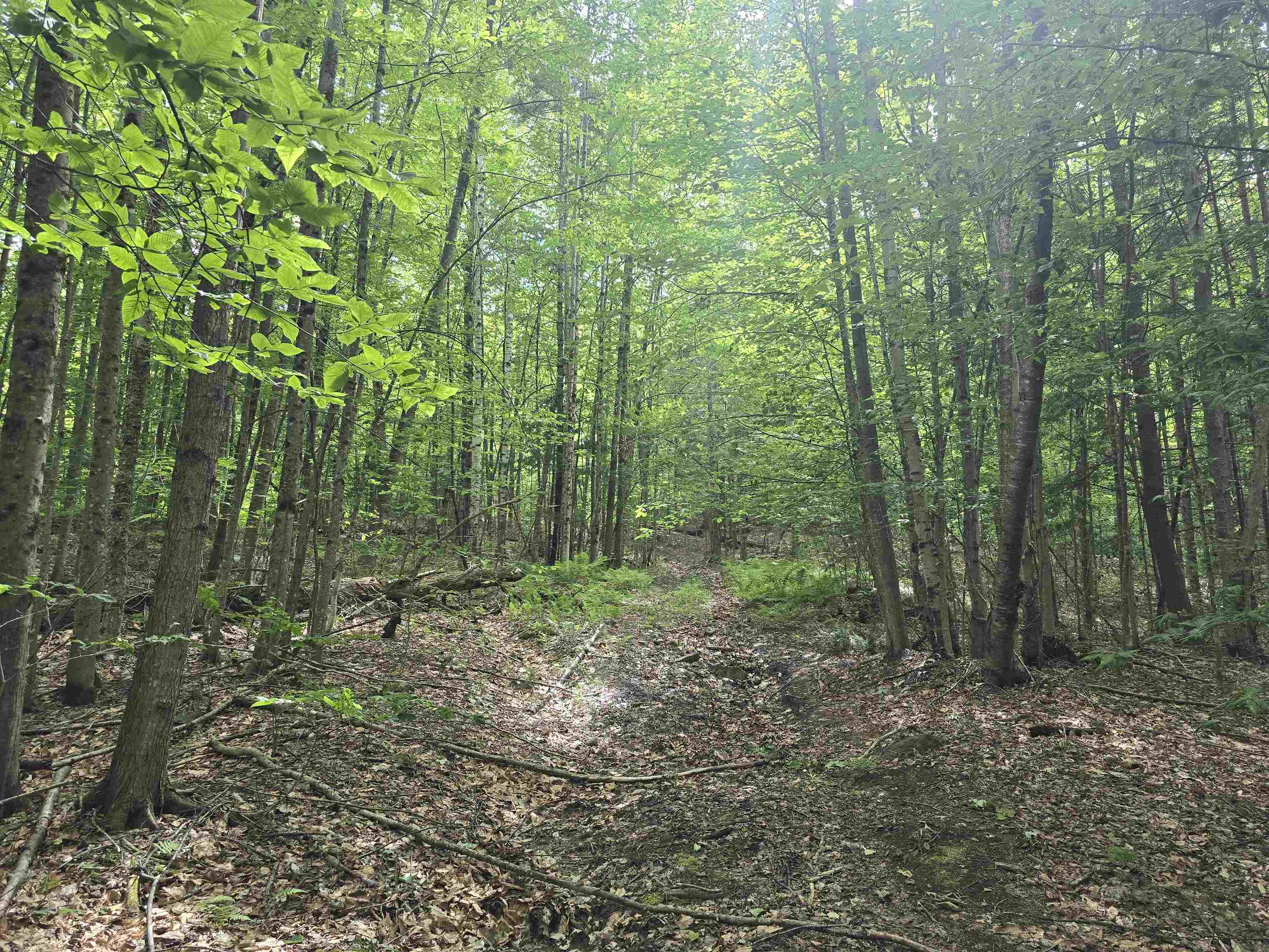 Tbd Farrar Road Property Photo 19