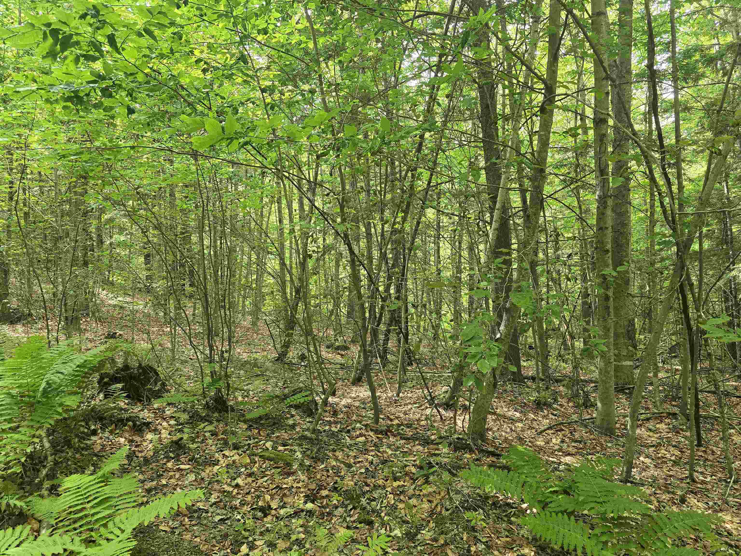 Tbd Farrar Road Property Photo 20