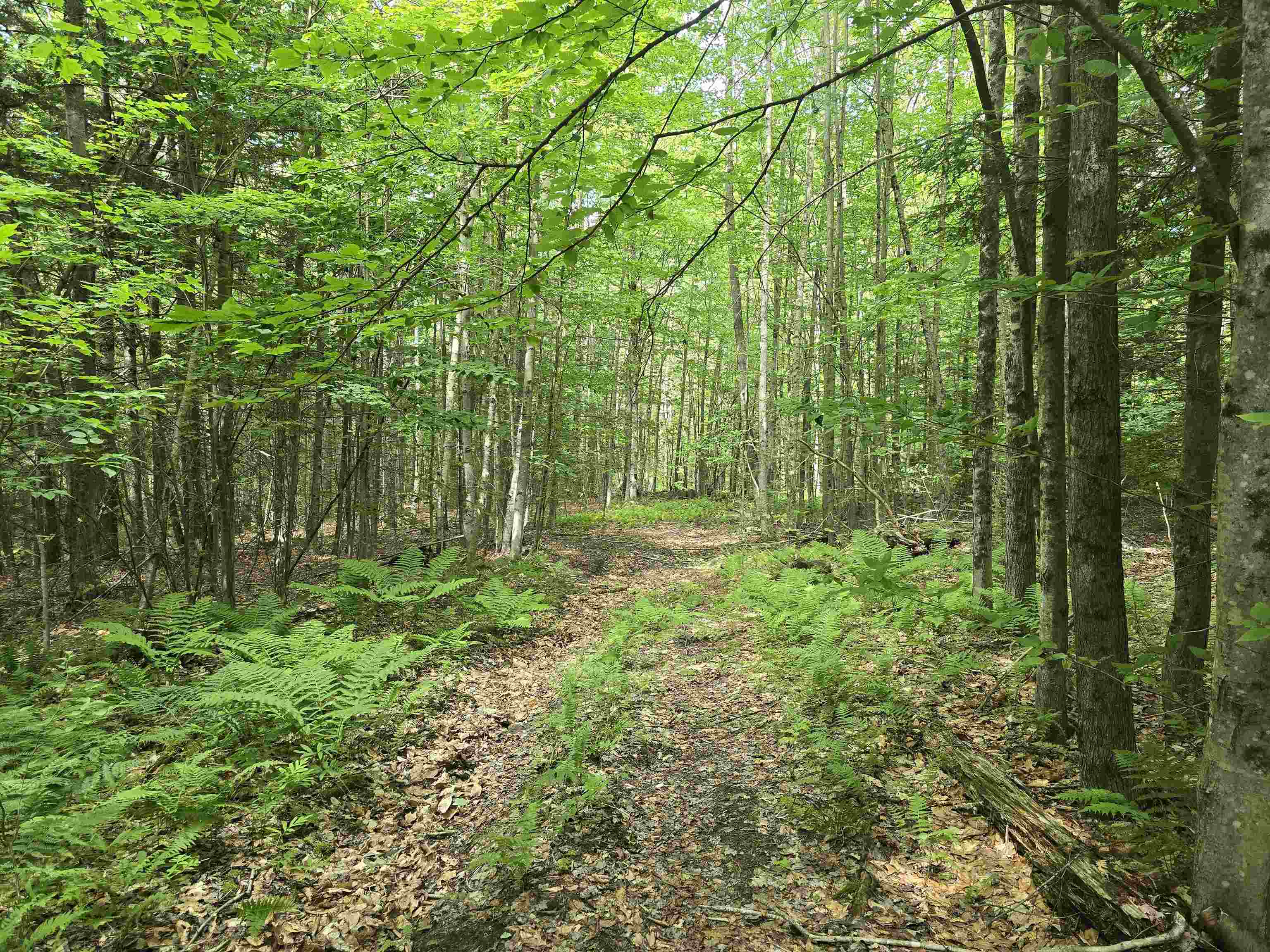 Tbd Farrar Road Property Photo 21