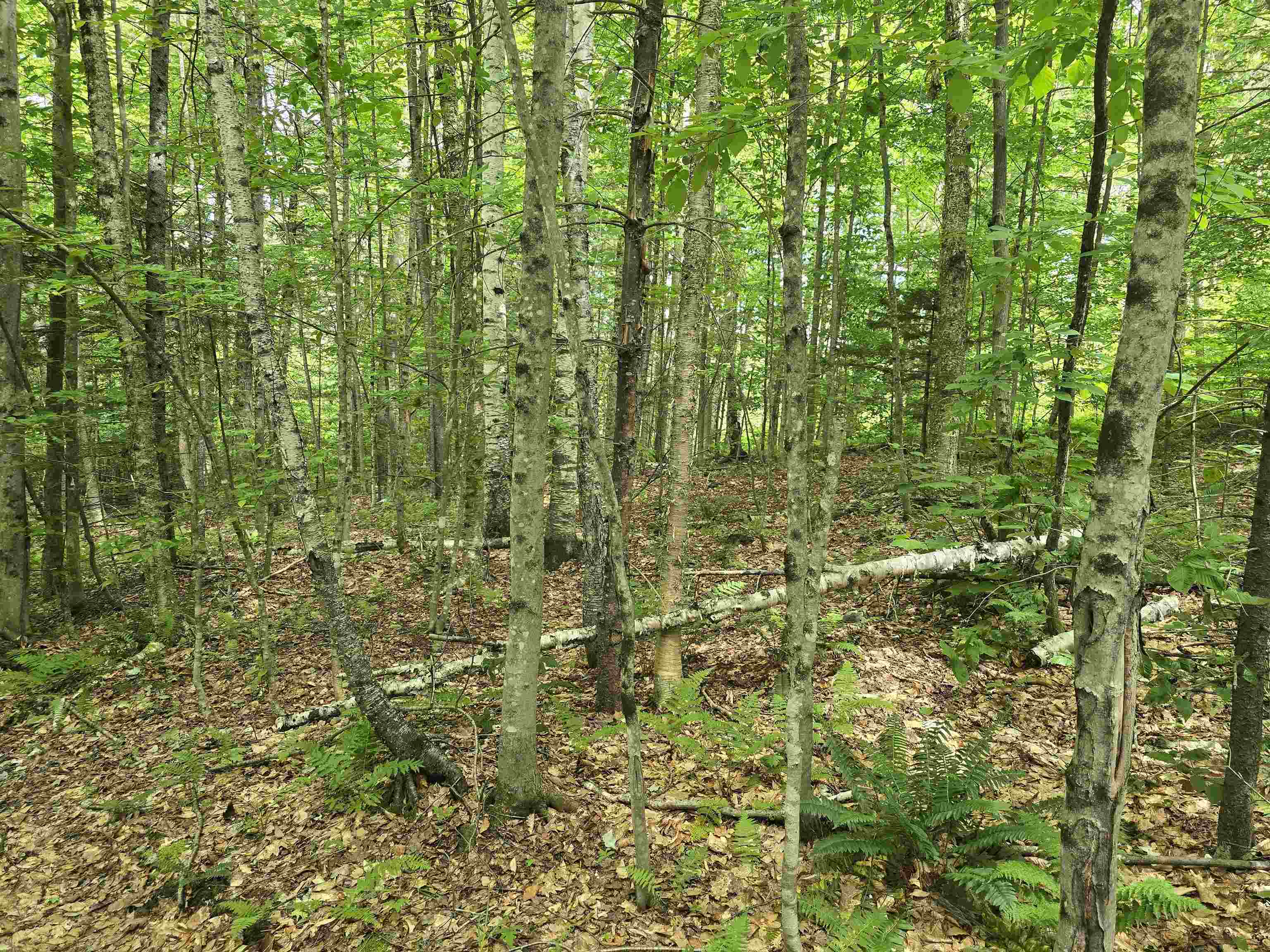 Tbd Farrar Road Property Photo 22