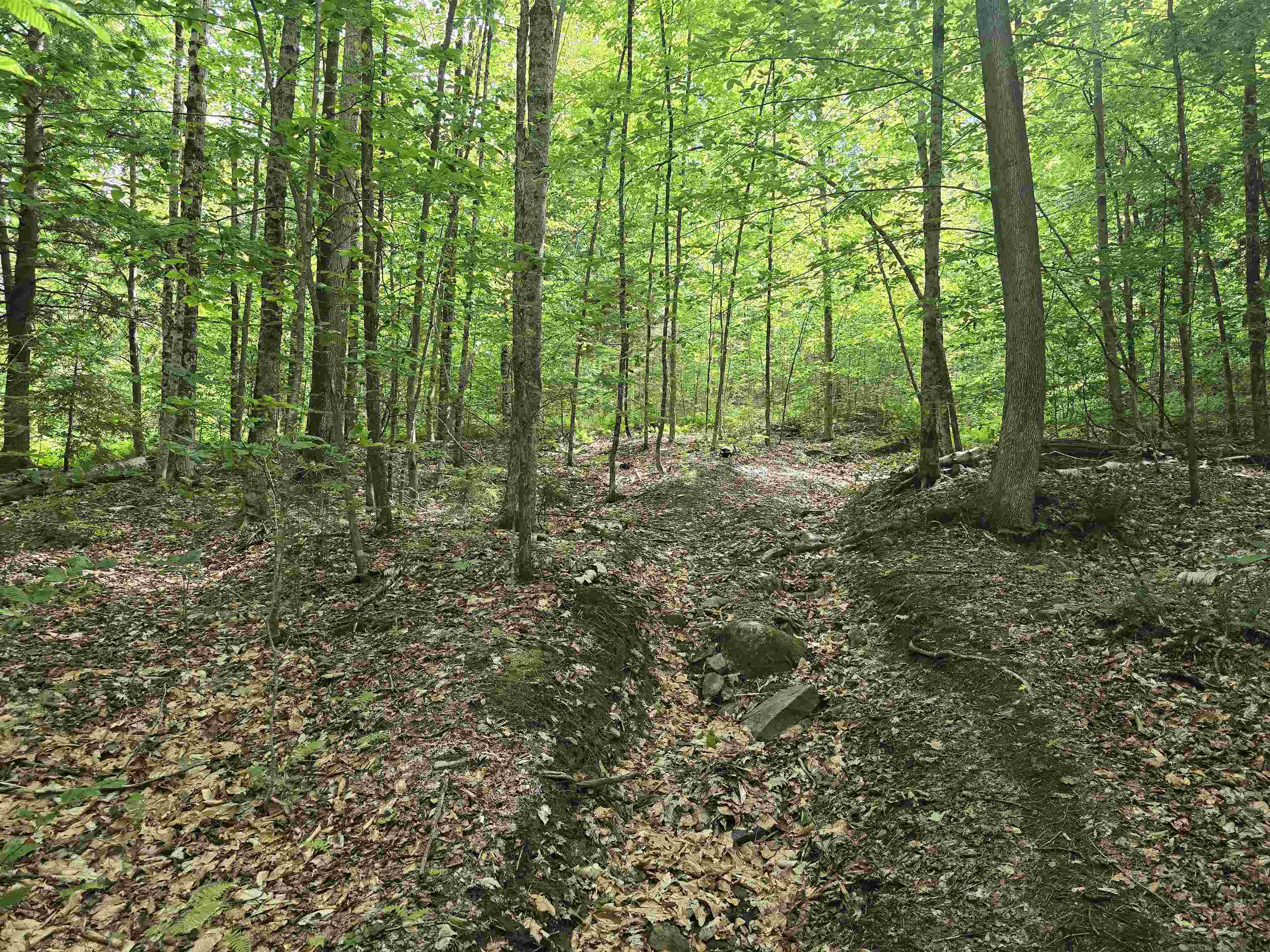 Tbd Farrar Road Property Photo 23