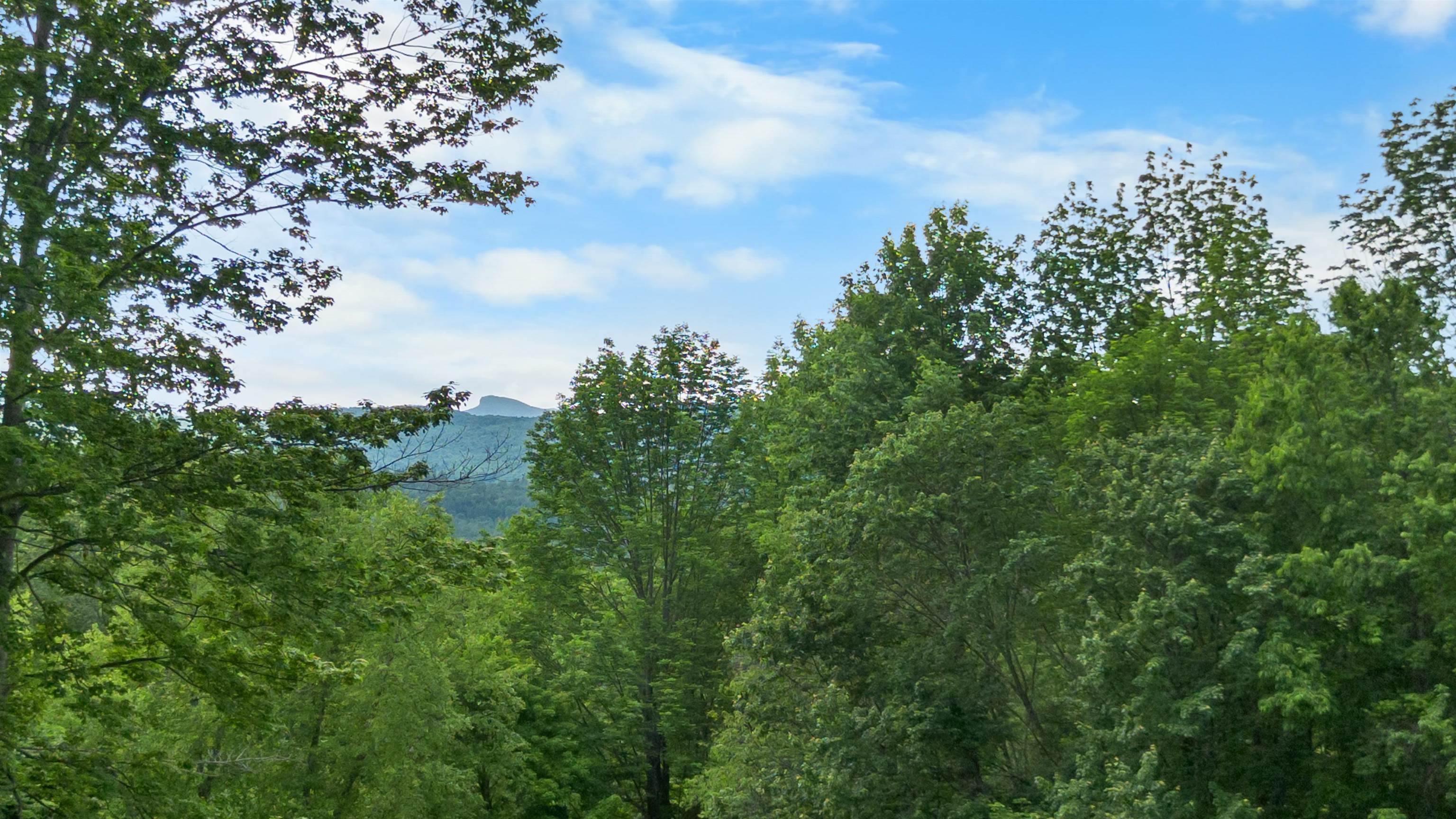 1397 Cobb Hill Road Property Photo 50