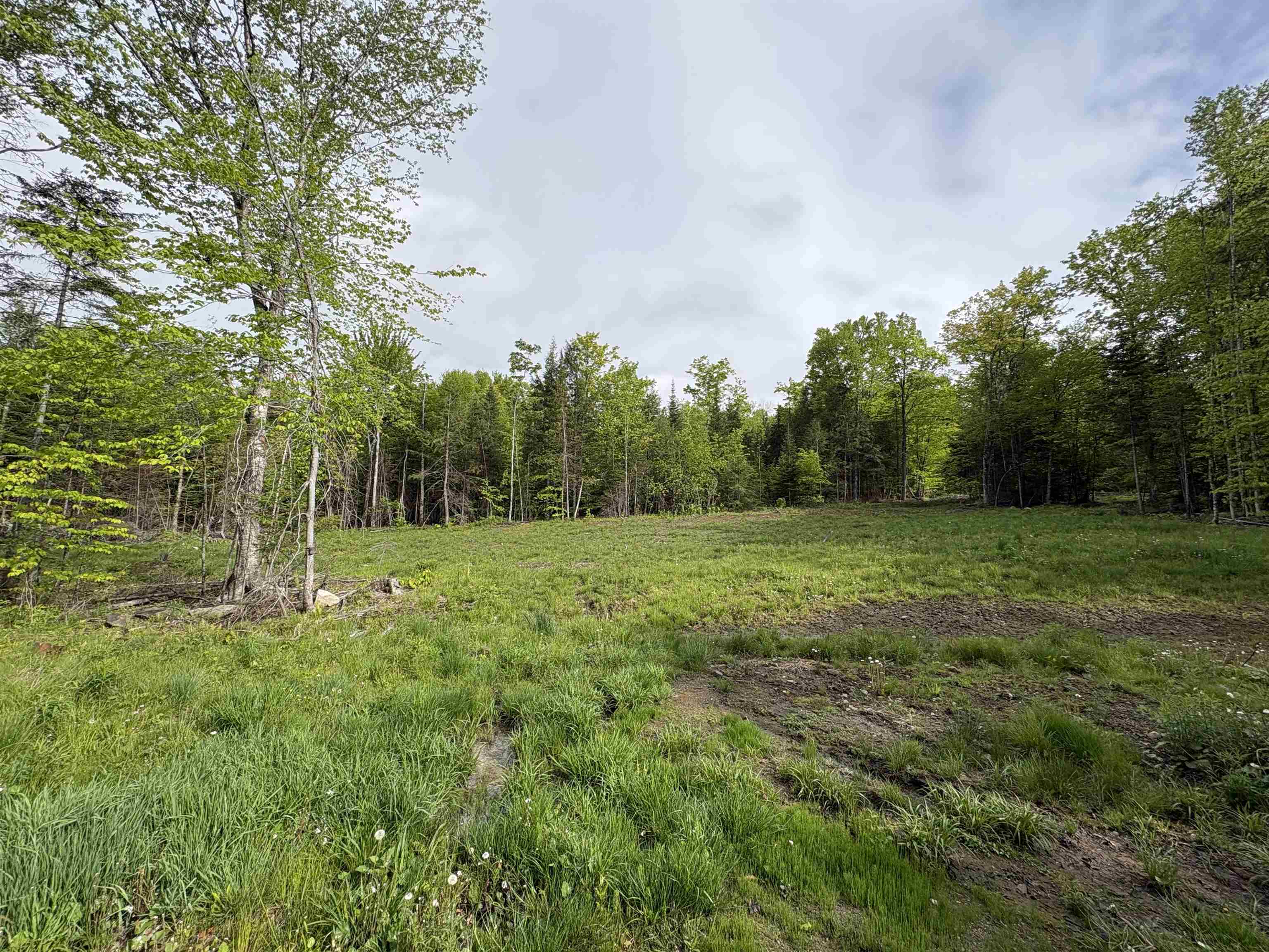 905 Peak Road Property Photo 18