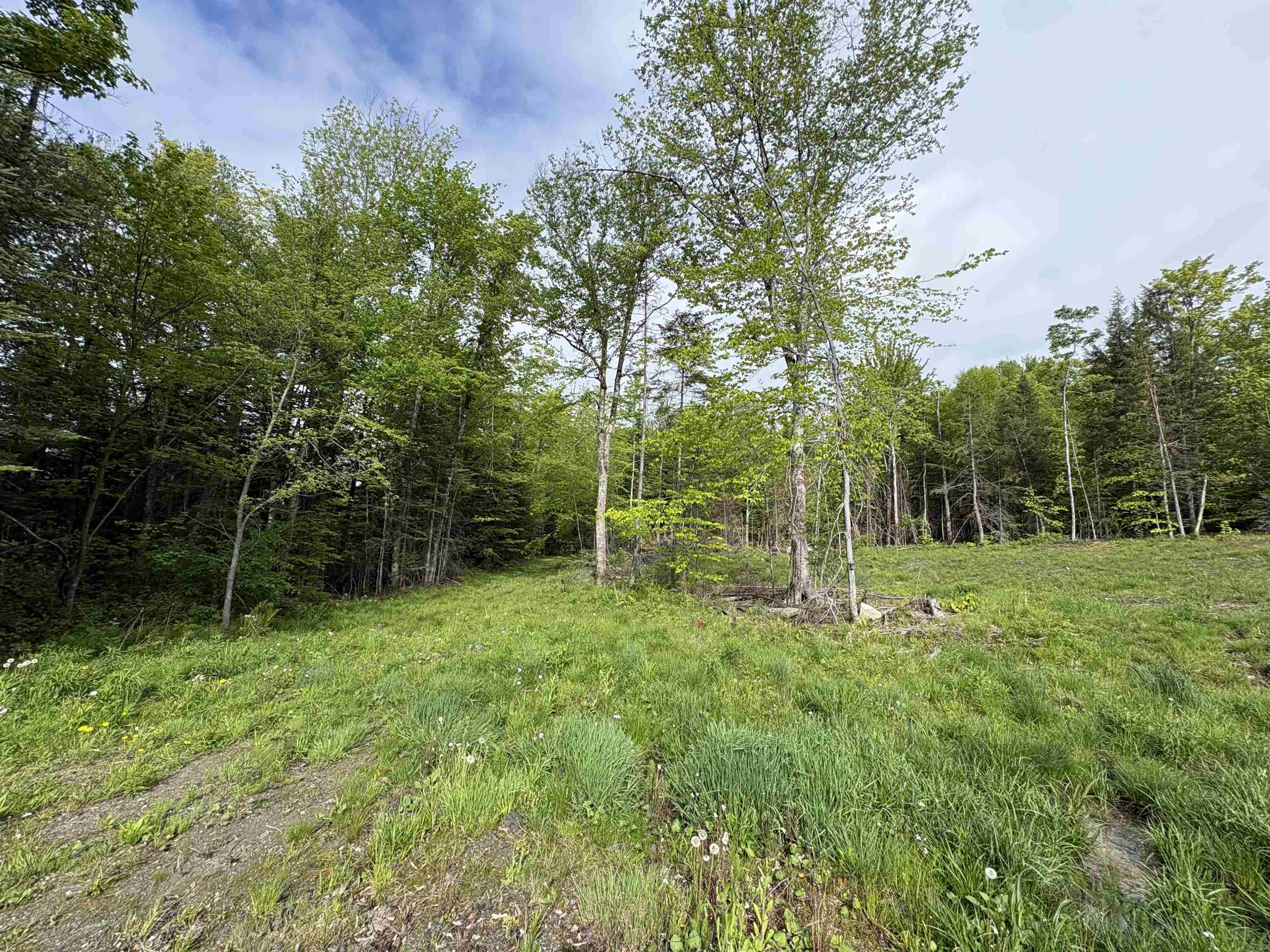 905 Peak Road Property Photo 19