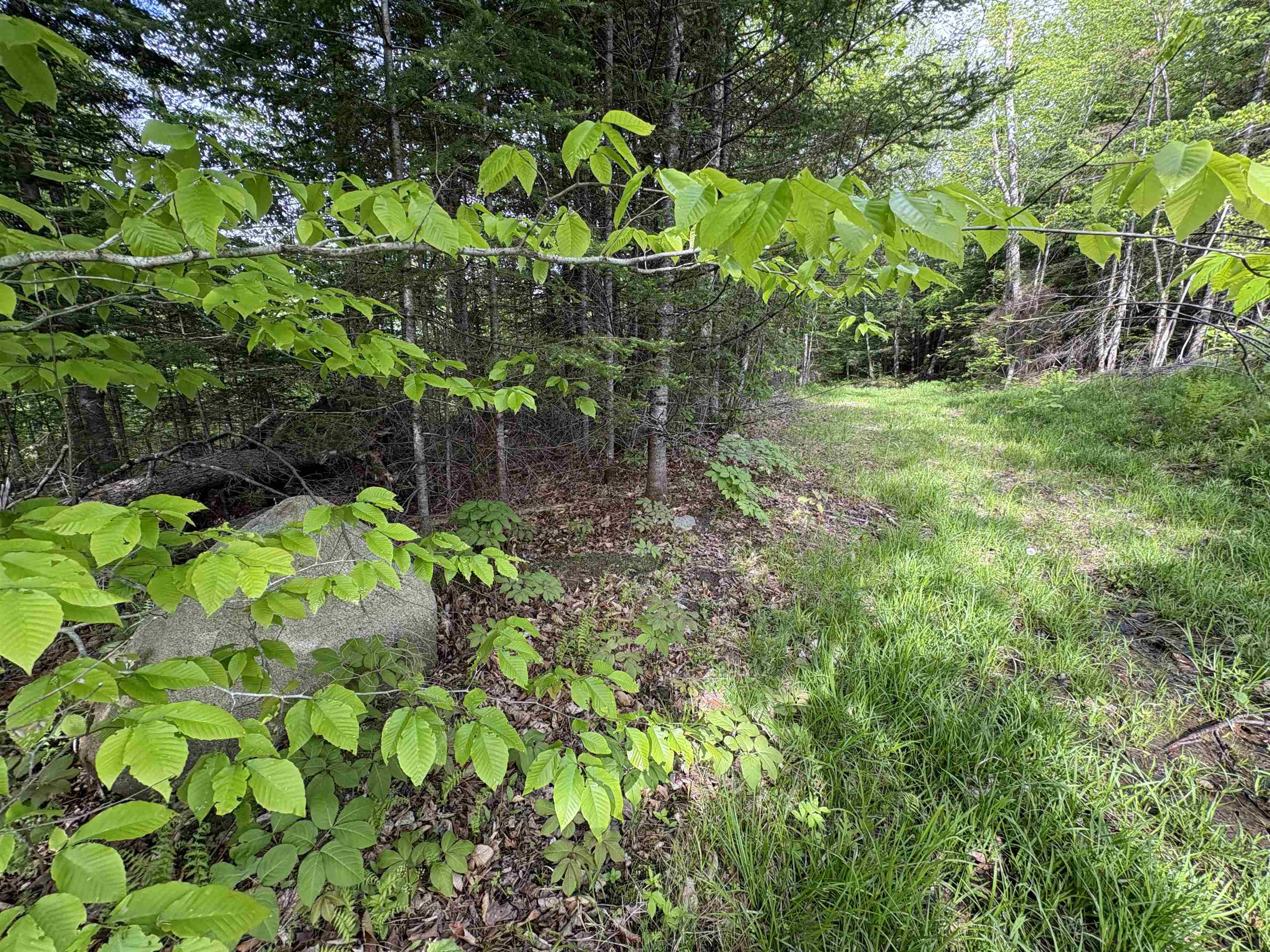 905 Peak Road Property Photo 21