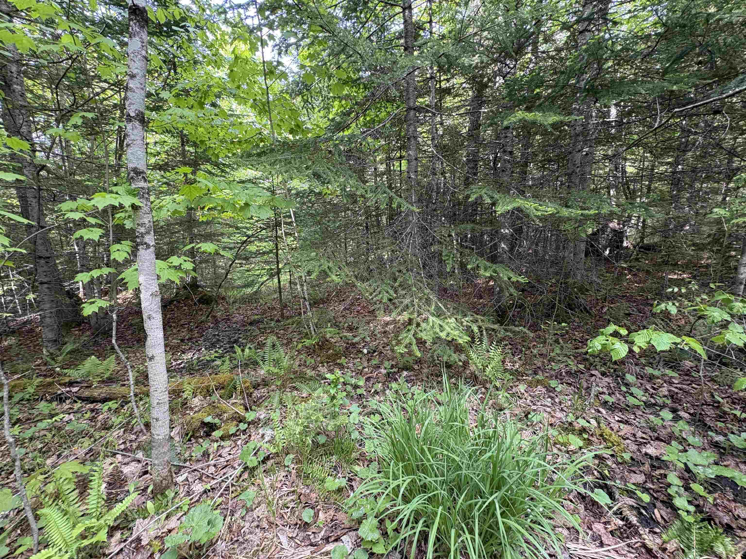 905 Peak Road Property Photo 24