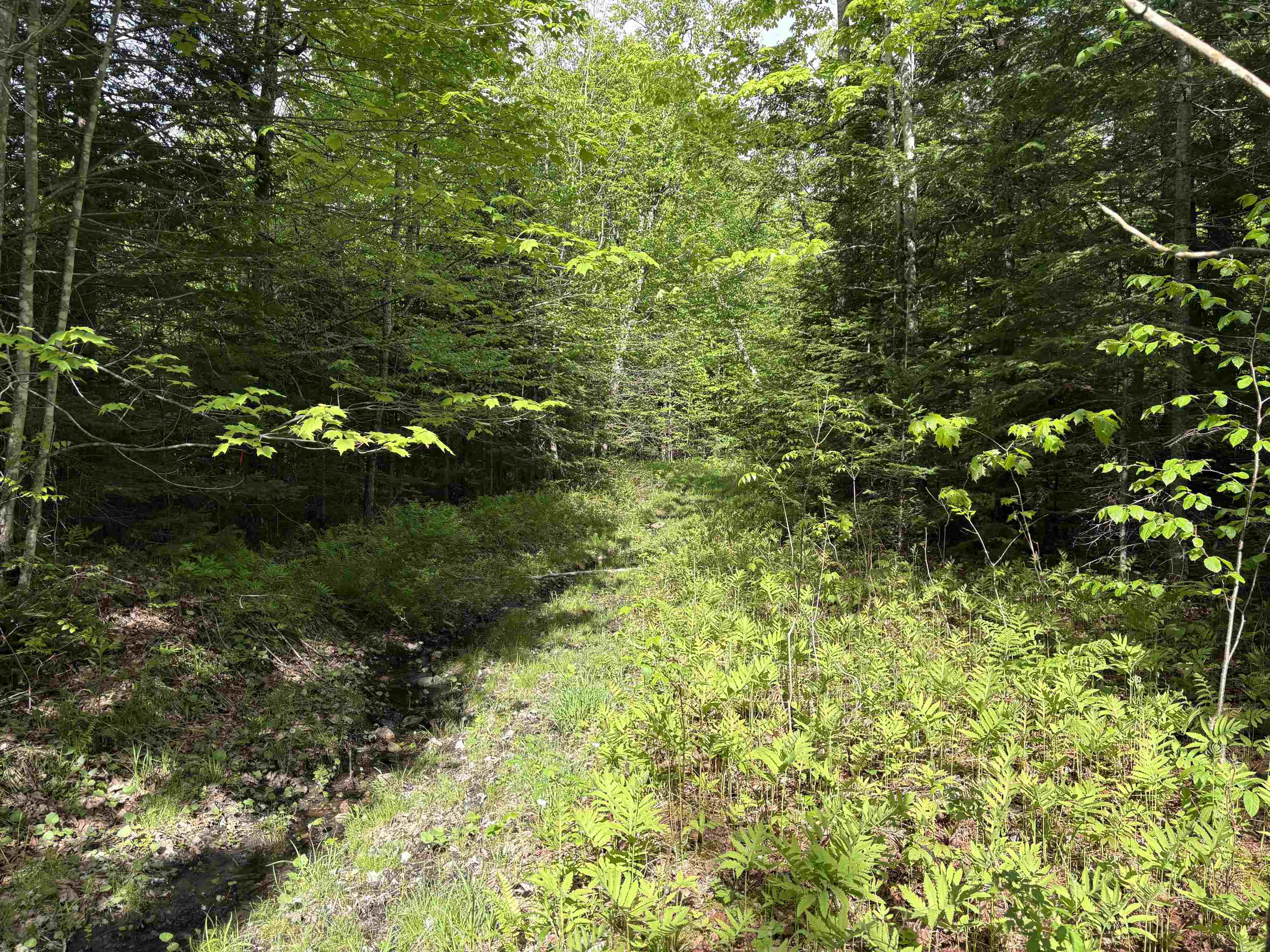 905 Peak Road Property Photo 25