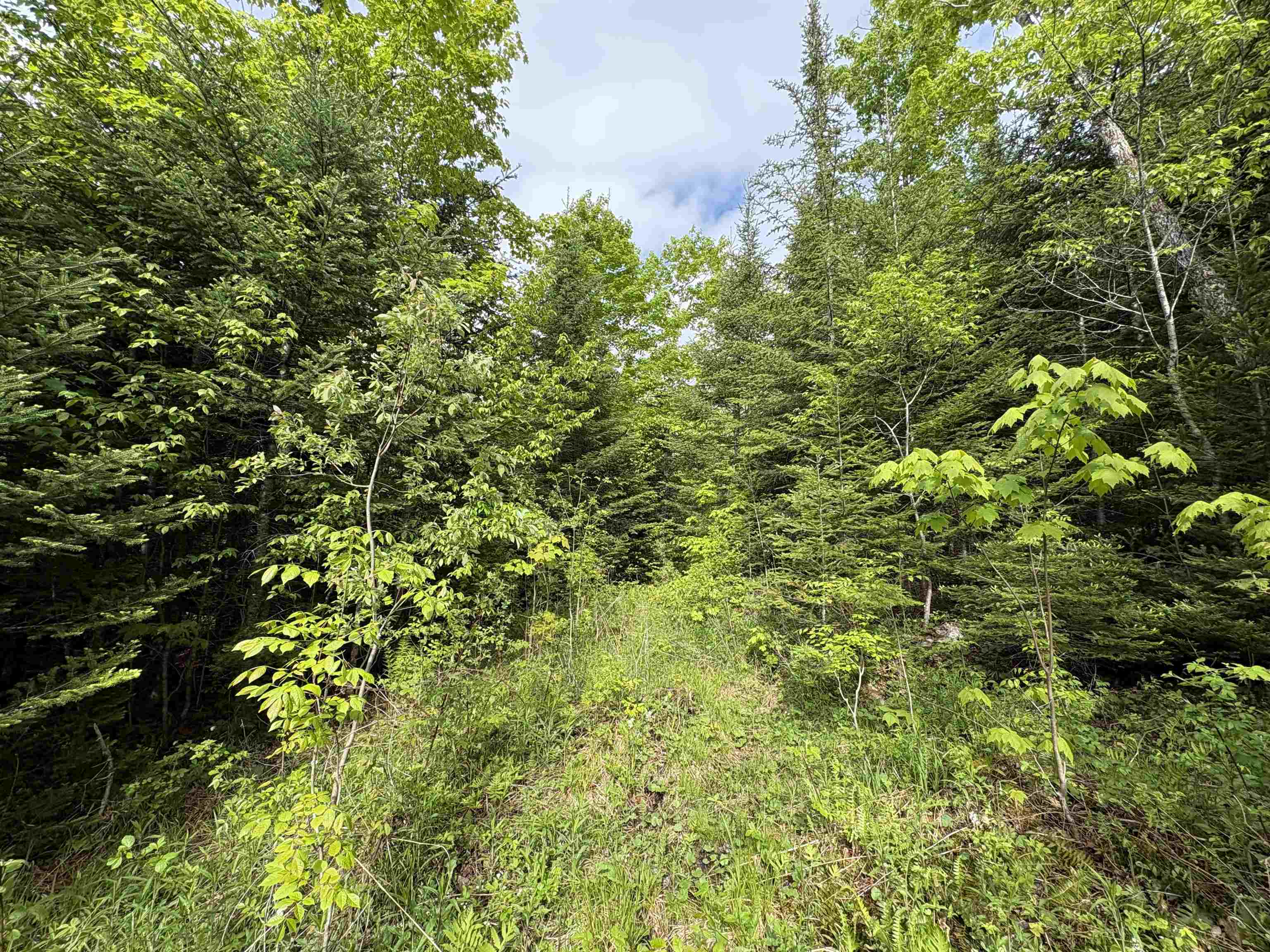 905 Peak Road Property Photo 26