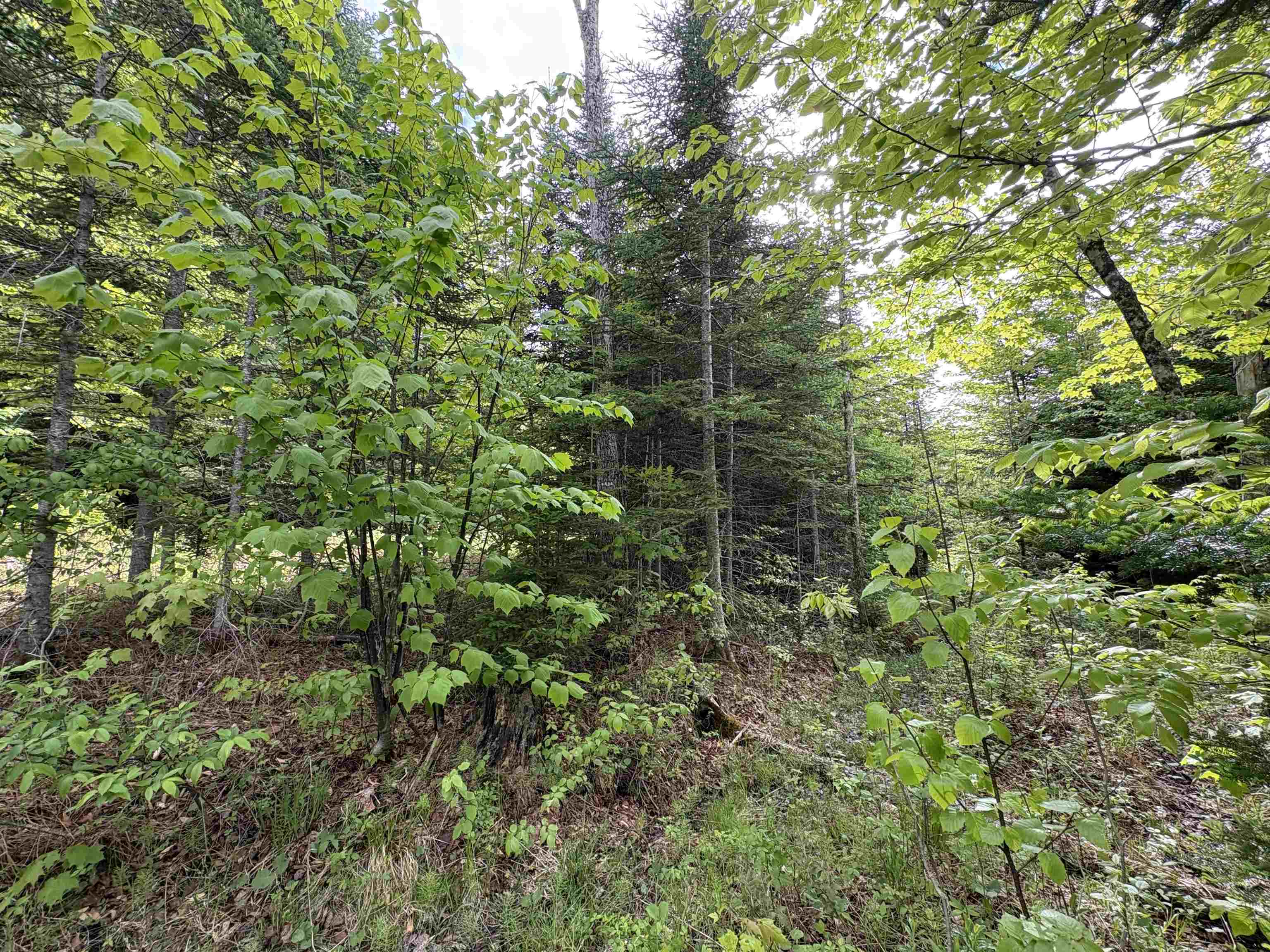 905 Peak Road Property Photo 27