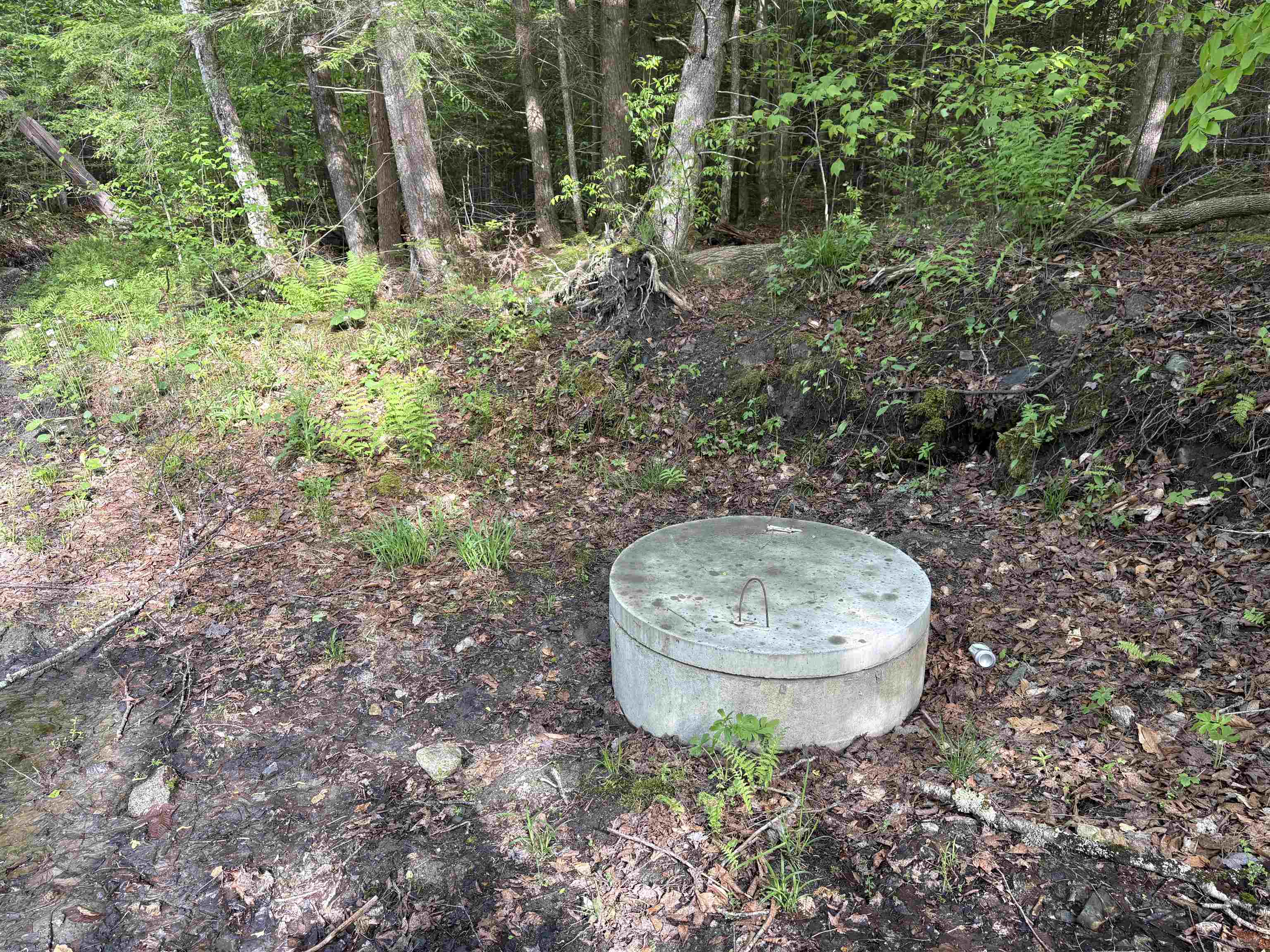 905 Peak Road Property Photo 30