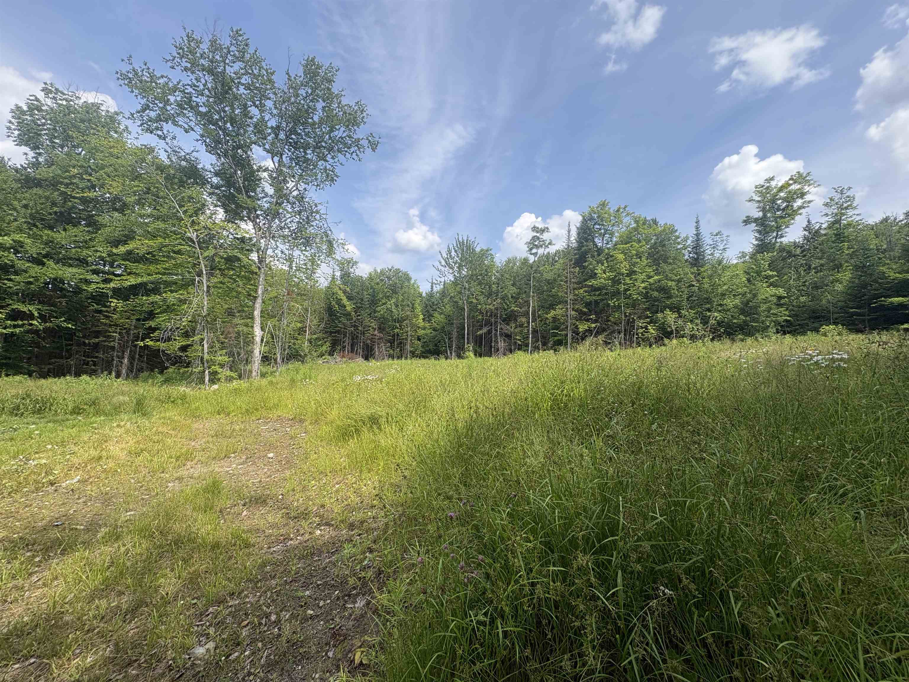 905 Peak Road Property Photo 33