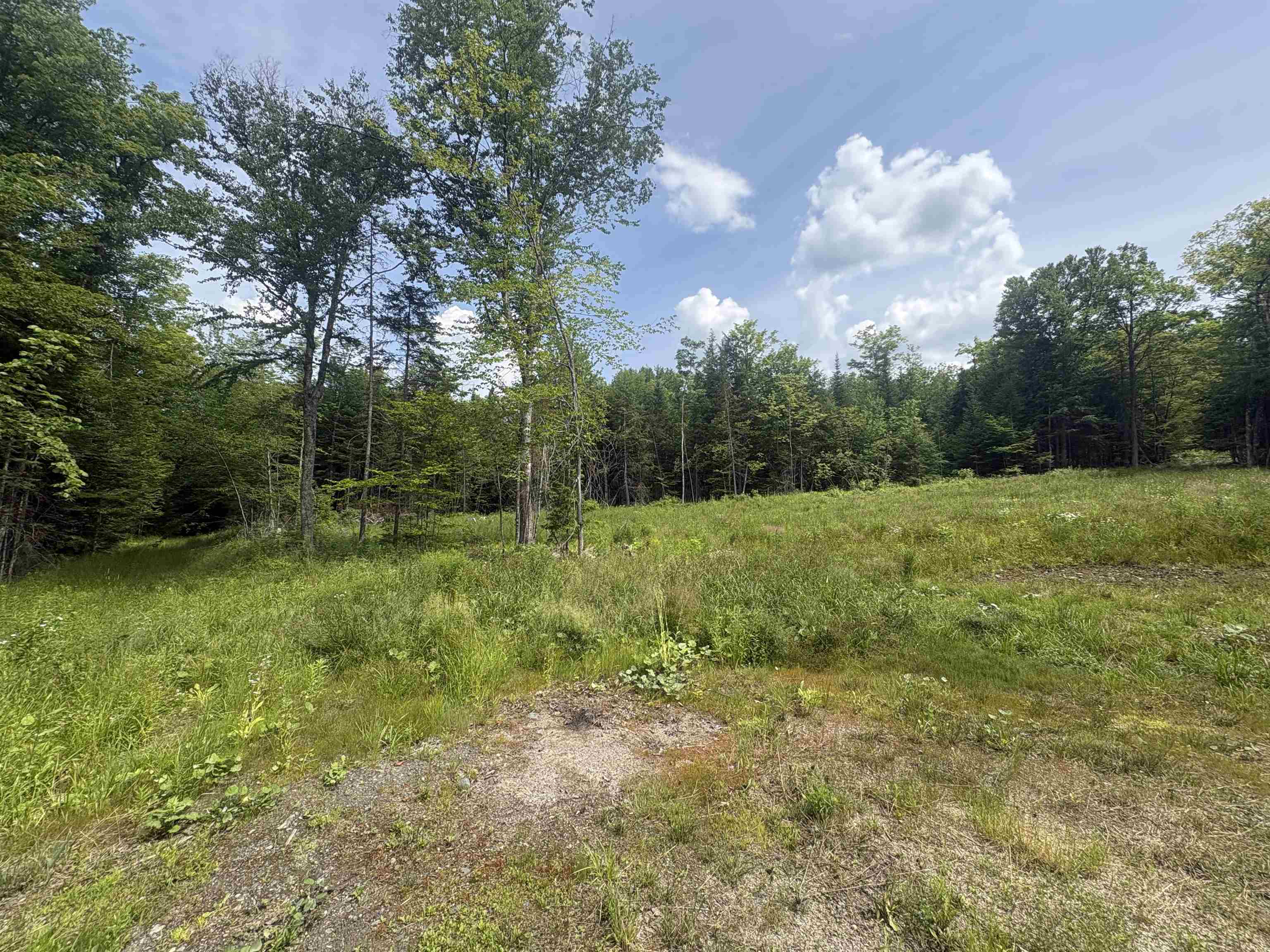 905 Peak Road Property Photo 34