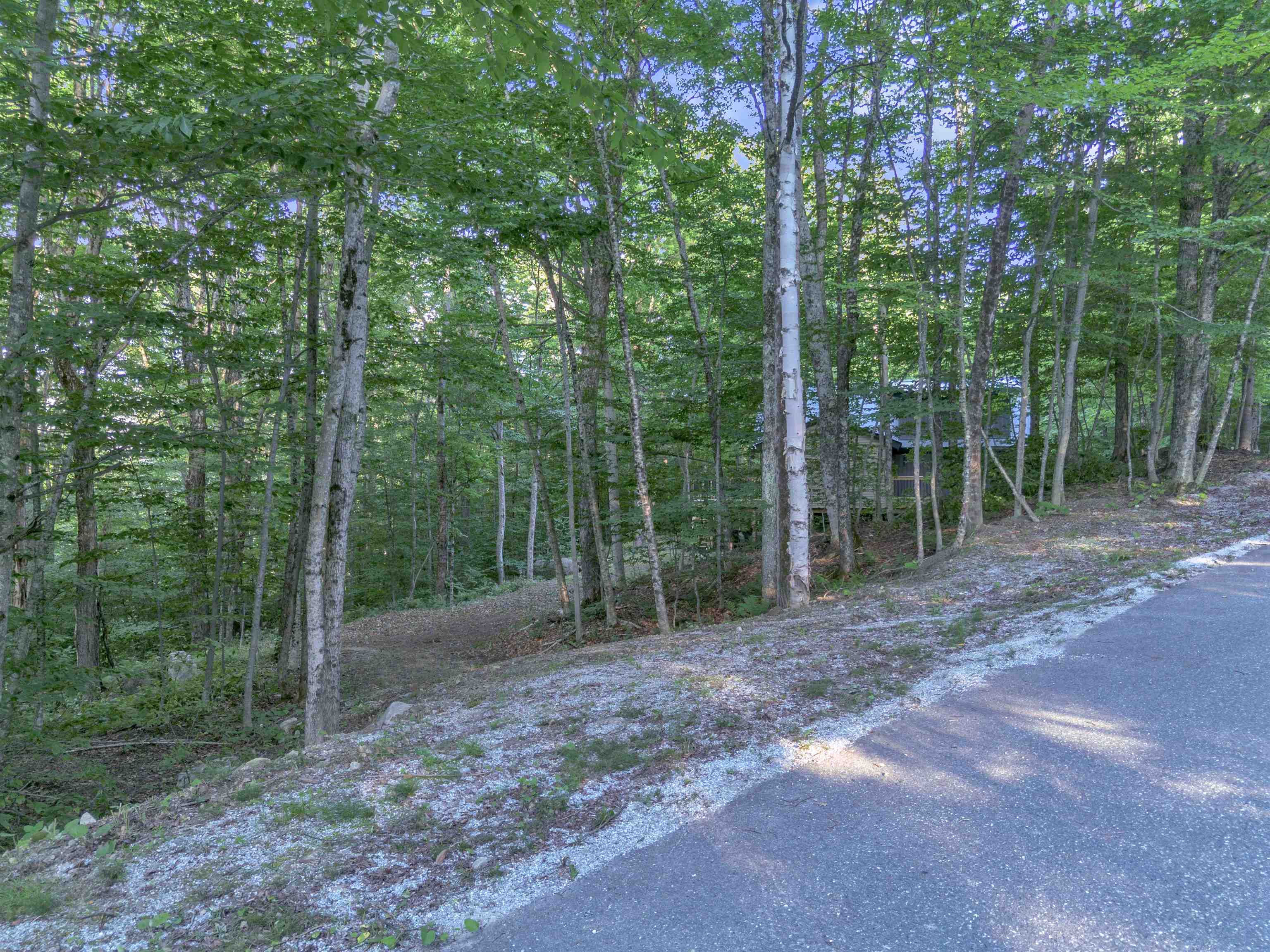 373 Tanglewood Drive Property Photo 57