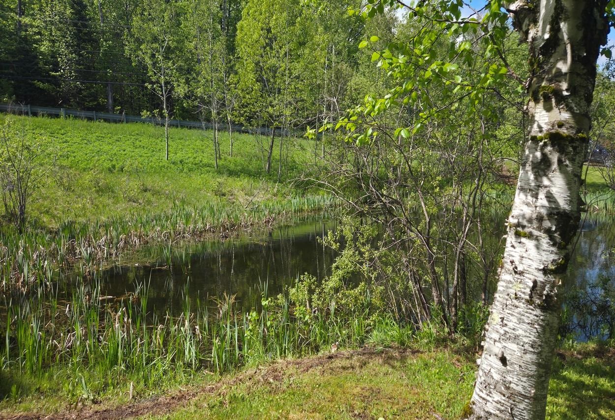 2759 Vt Route 11 Property Photo 53
