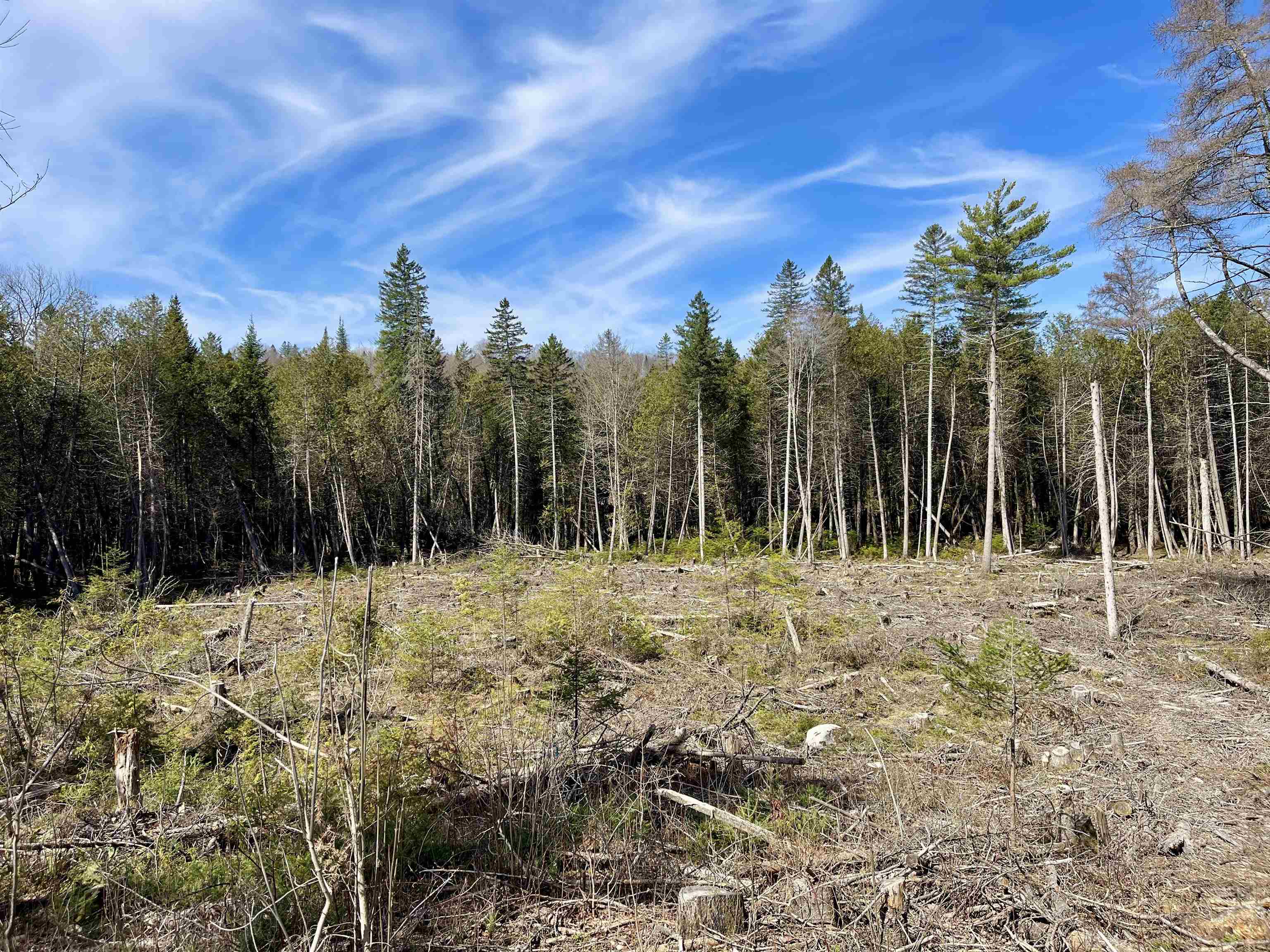 00 Vermont Route 5a Property Photo 6