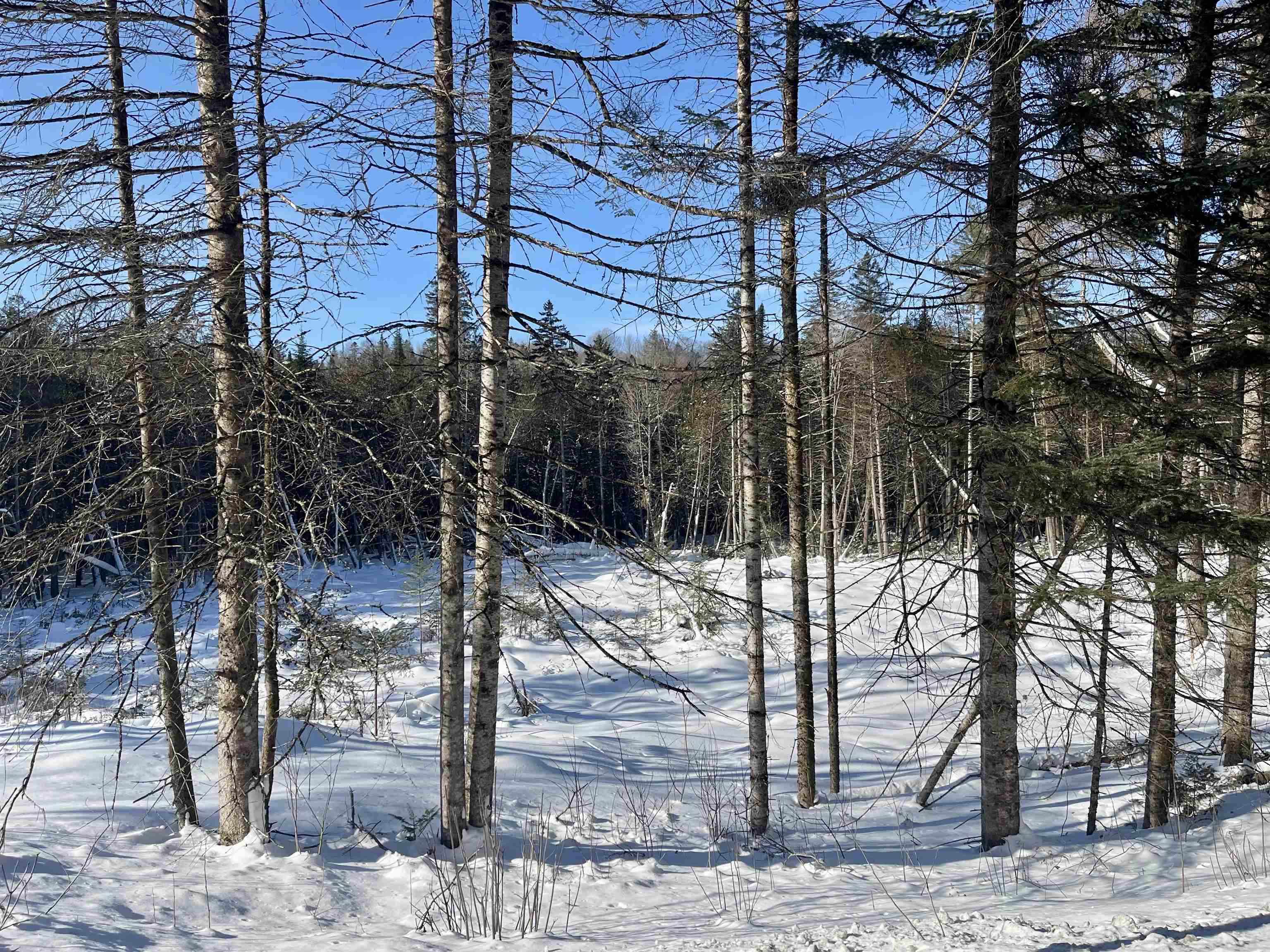 00 Vermont Route 5a Property Photo 10